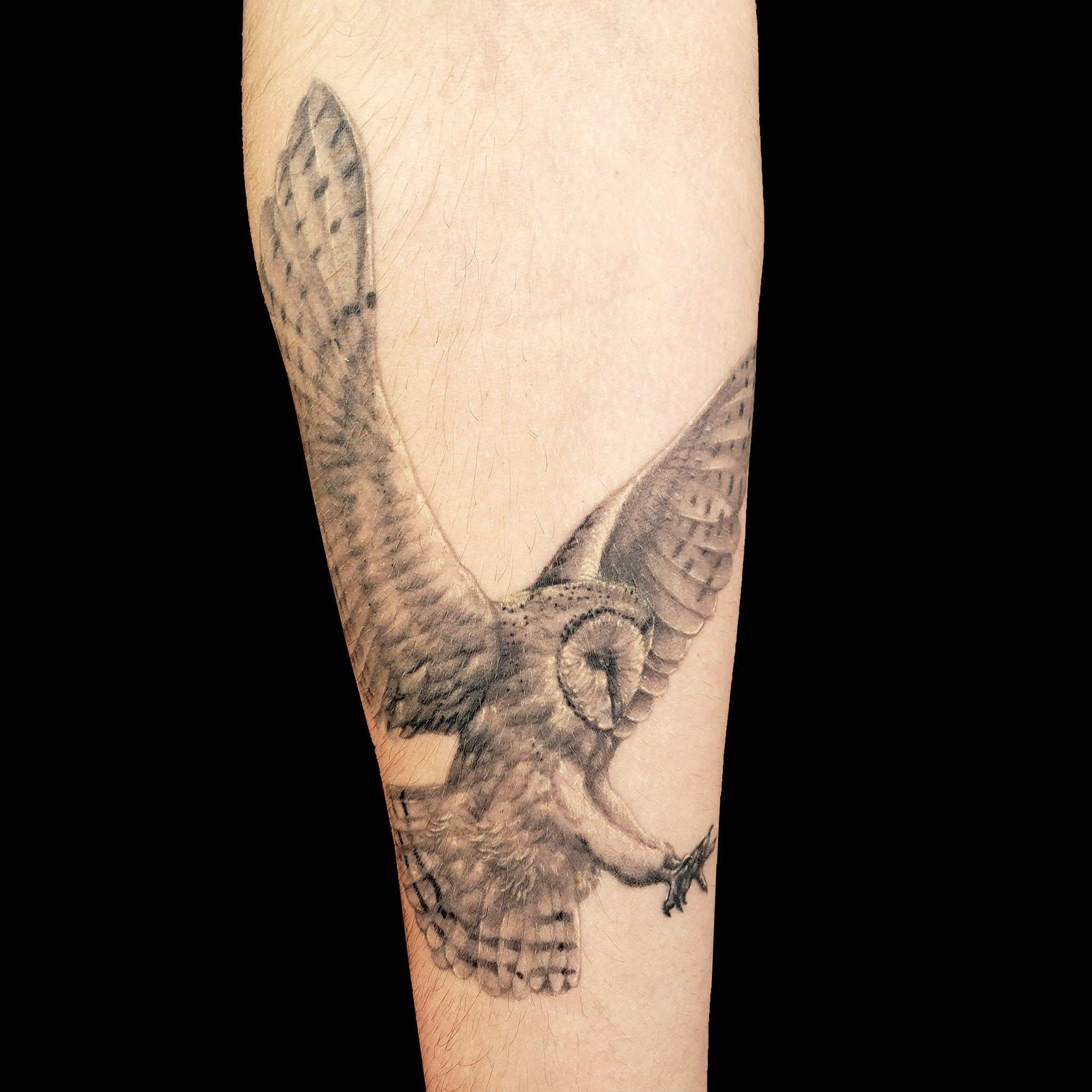 Owl realism tattoo on the forearm by Dallas Tattoo Artist Erik Espinoza