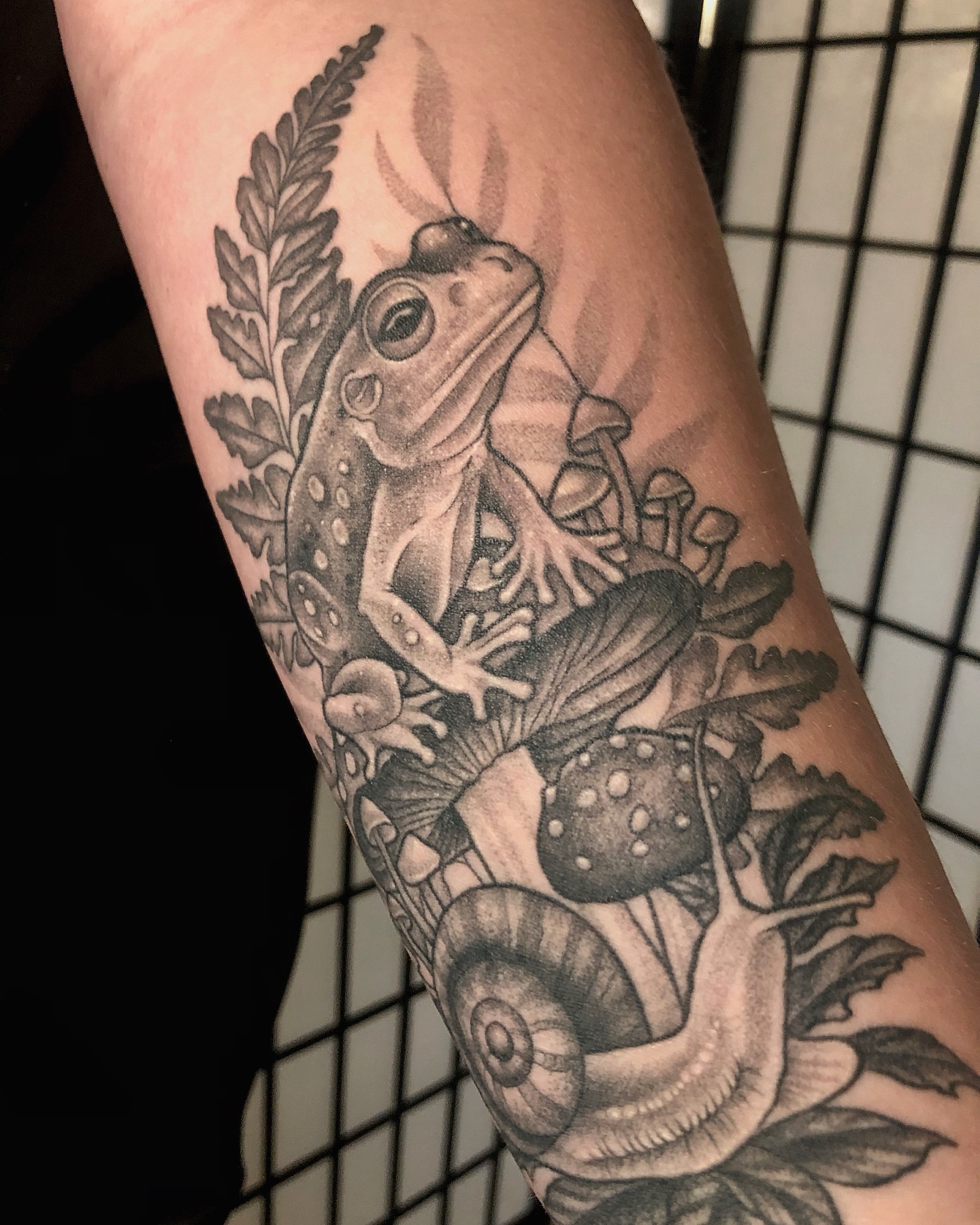 Frog and mushrooms realism tattoo on the forearm by 𝔍𝔢𝔫𝔫𝔦𝔢 𝔗𝔦𝔢𝔰𝔪𝔞𝔫
