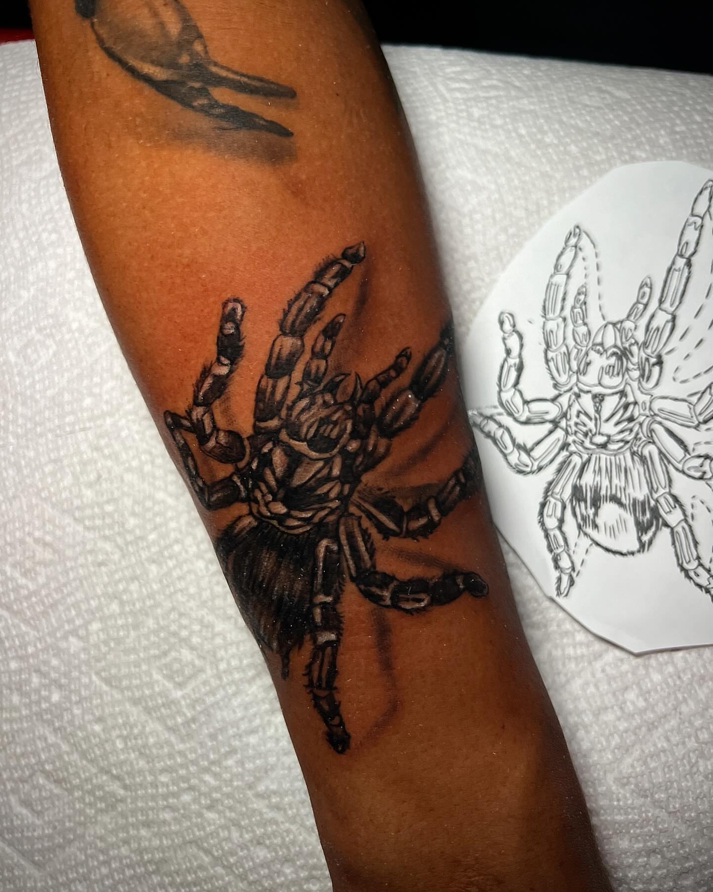 Spider black and grey tattoo on the forearm by Lucky Valenzuela, Lakewood, Colorado