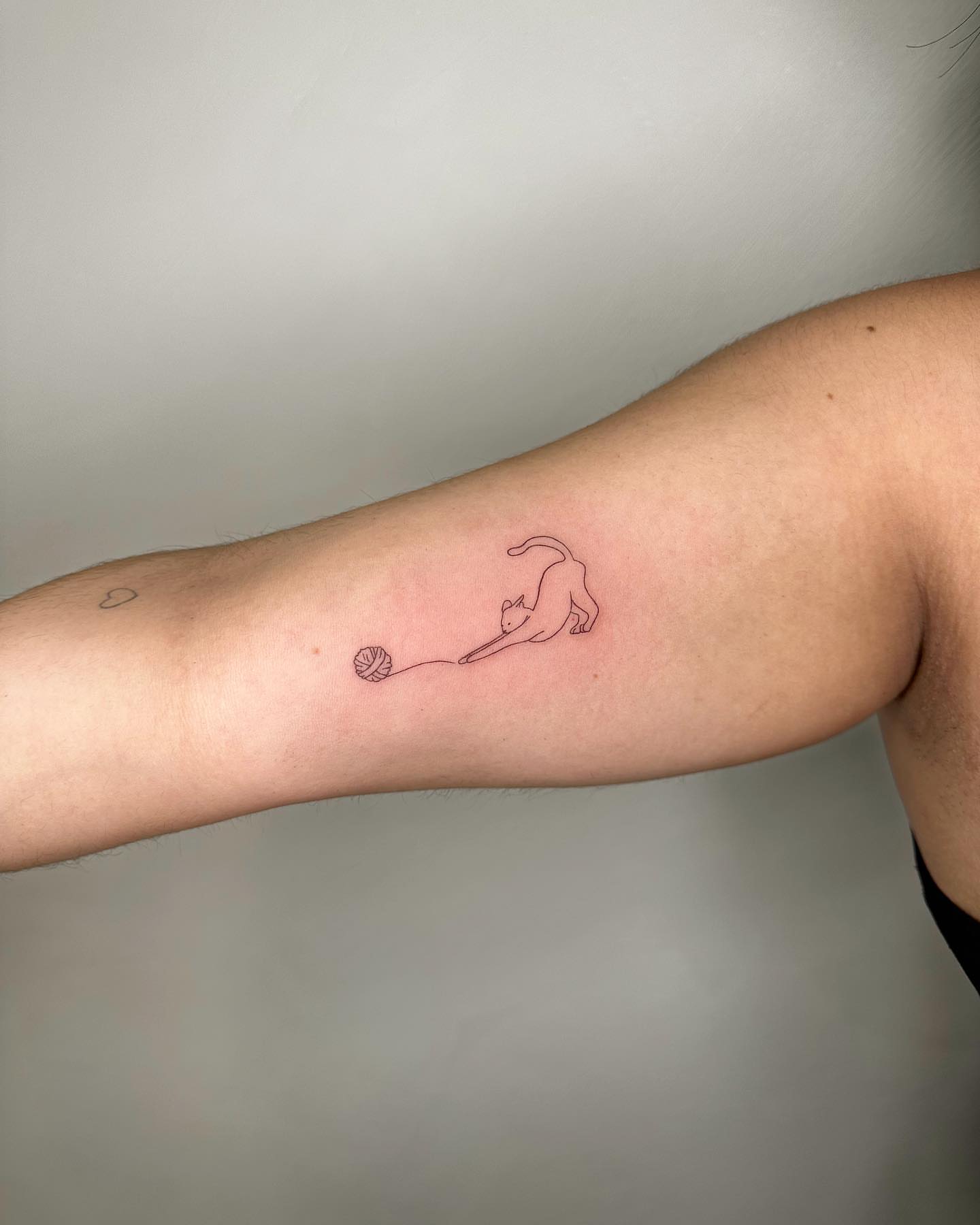 Cat playing with yarn fine line tattoo on the forearm by oc fine line & tiny tattoos