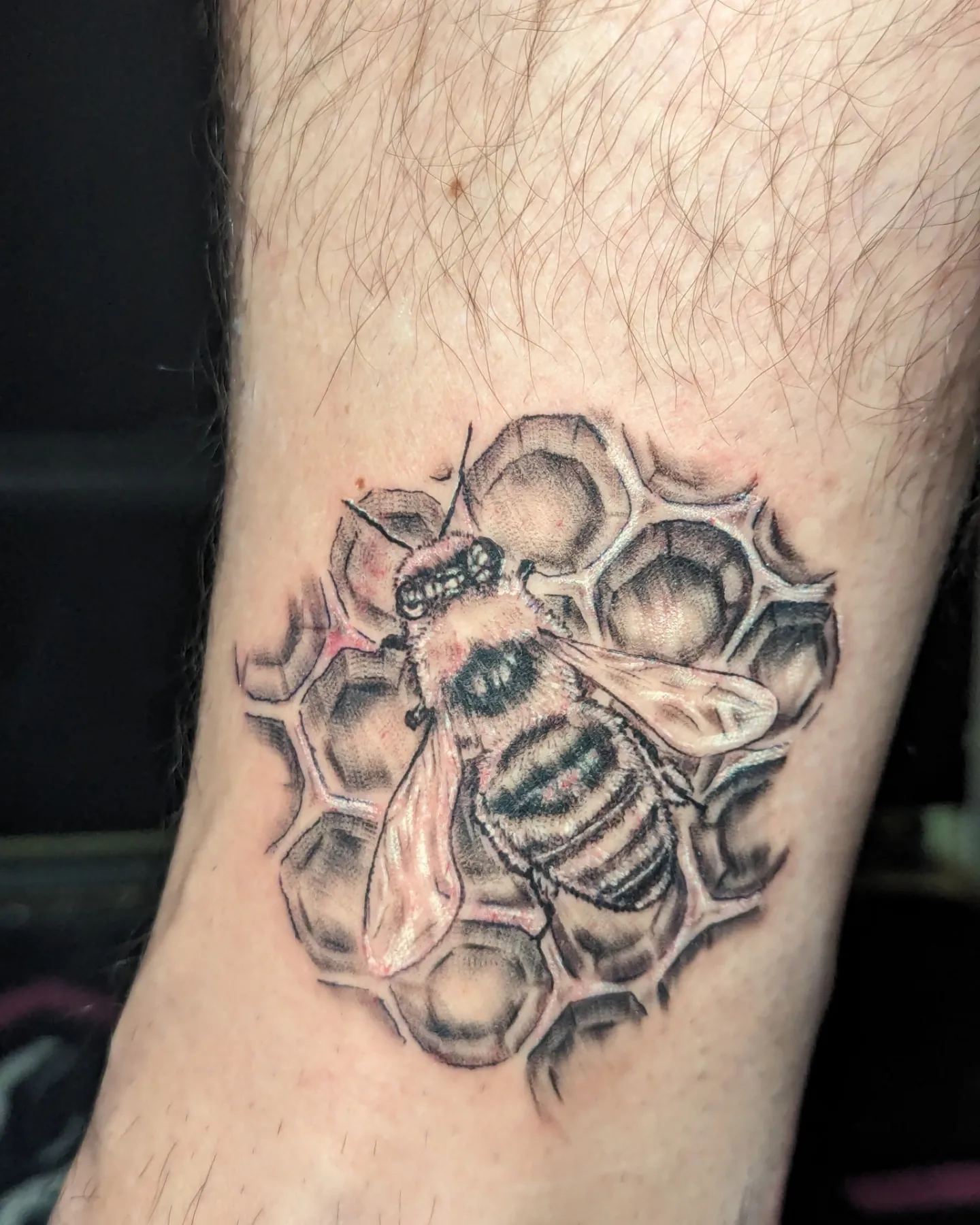 Bee and honeycomb realism tattoo on the forearm by Cat