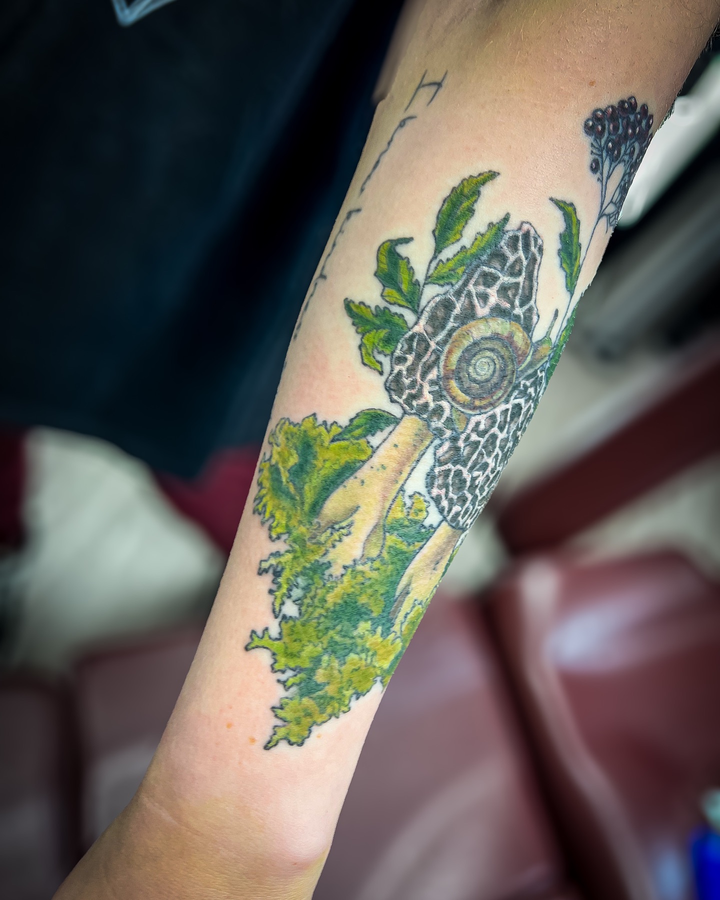 Snail and plant realism tattoo on the forearm by Reagan Sutton