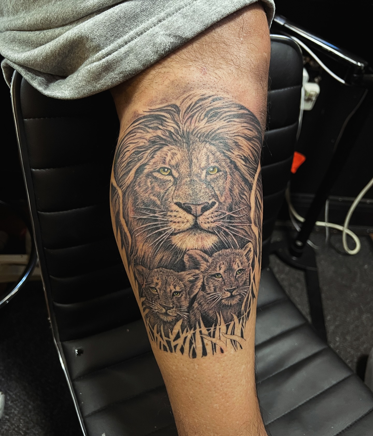 Lion family realism tattoo on the forearm by JT Ink