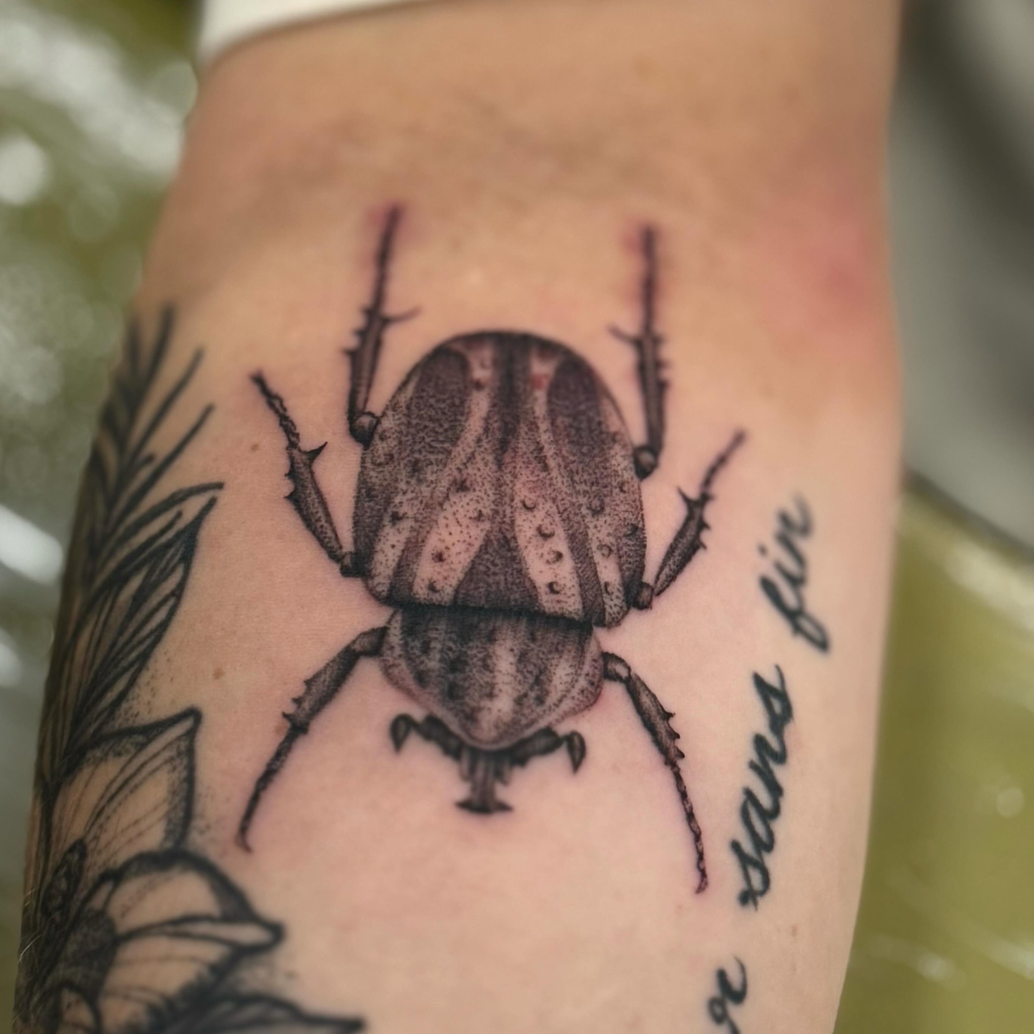 Scarab beetle dotwork tattoo on the forearm by William Worley
