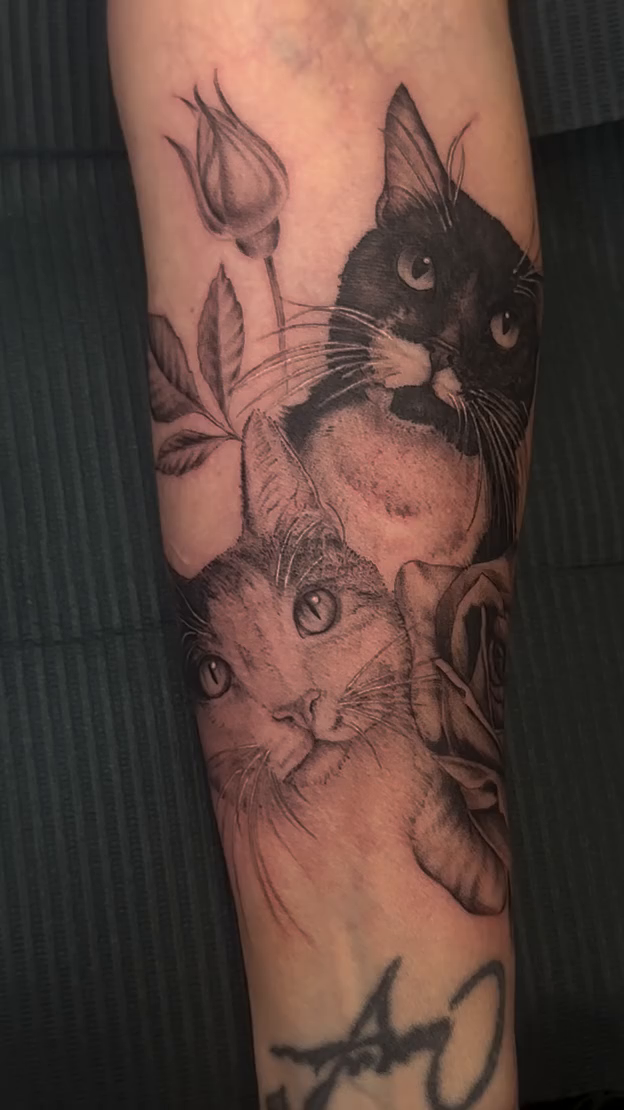 Two cats and roses realism tattoo by Arielle Deatherage