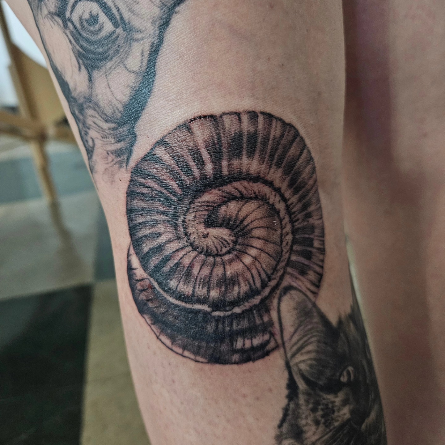 Snail shell realism tattoo on the forearm by David Nash, Evansville, Indiana