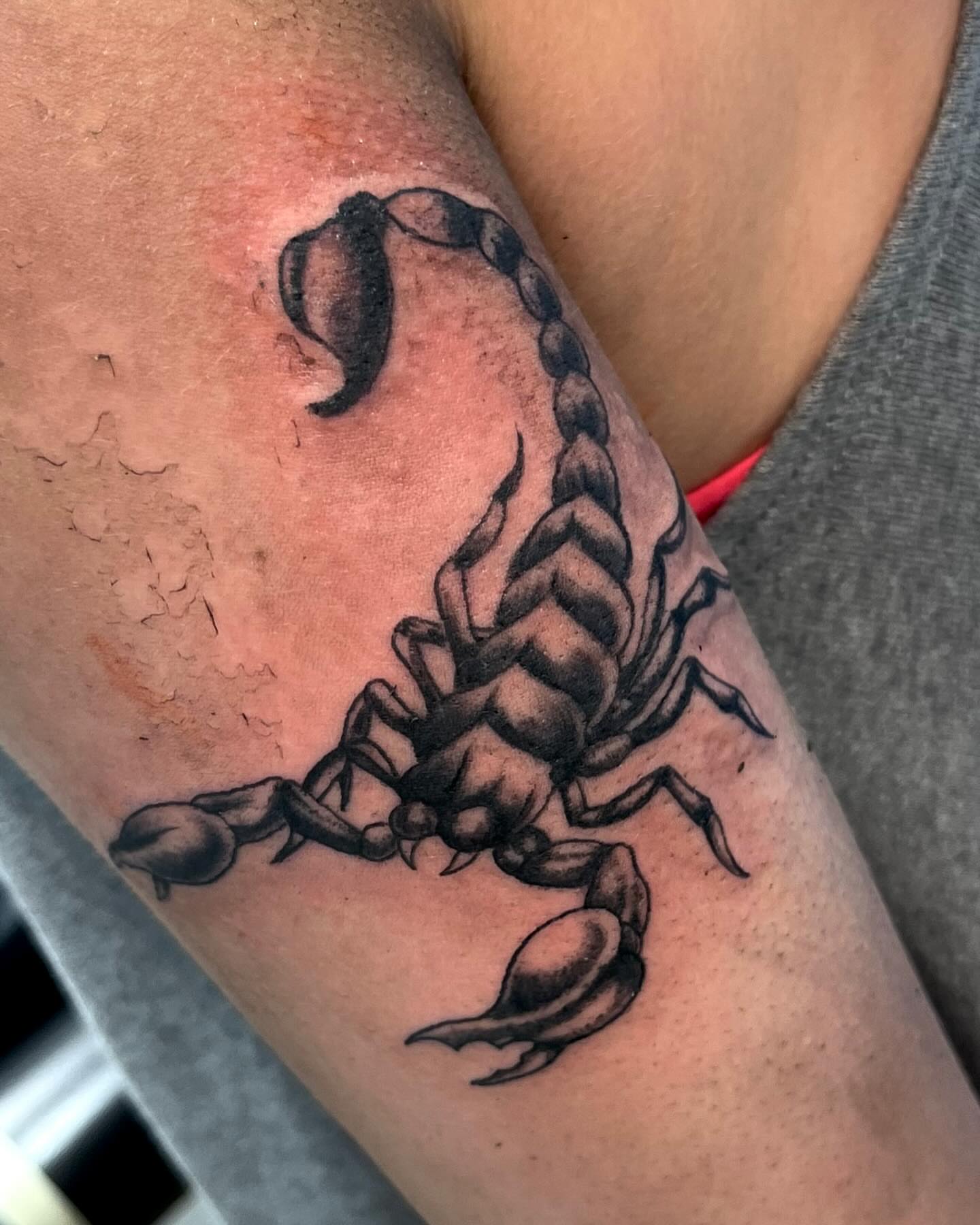 Scorpion black and grey tattoo on the forearm by Deville Pinson