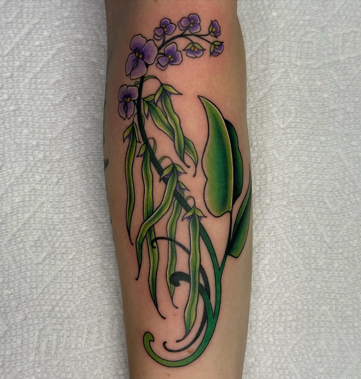 Tattoo by @bellalouisetattoo — new_school, ornamental