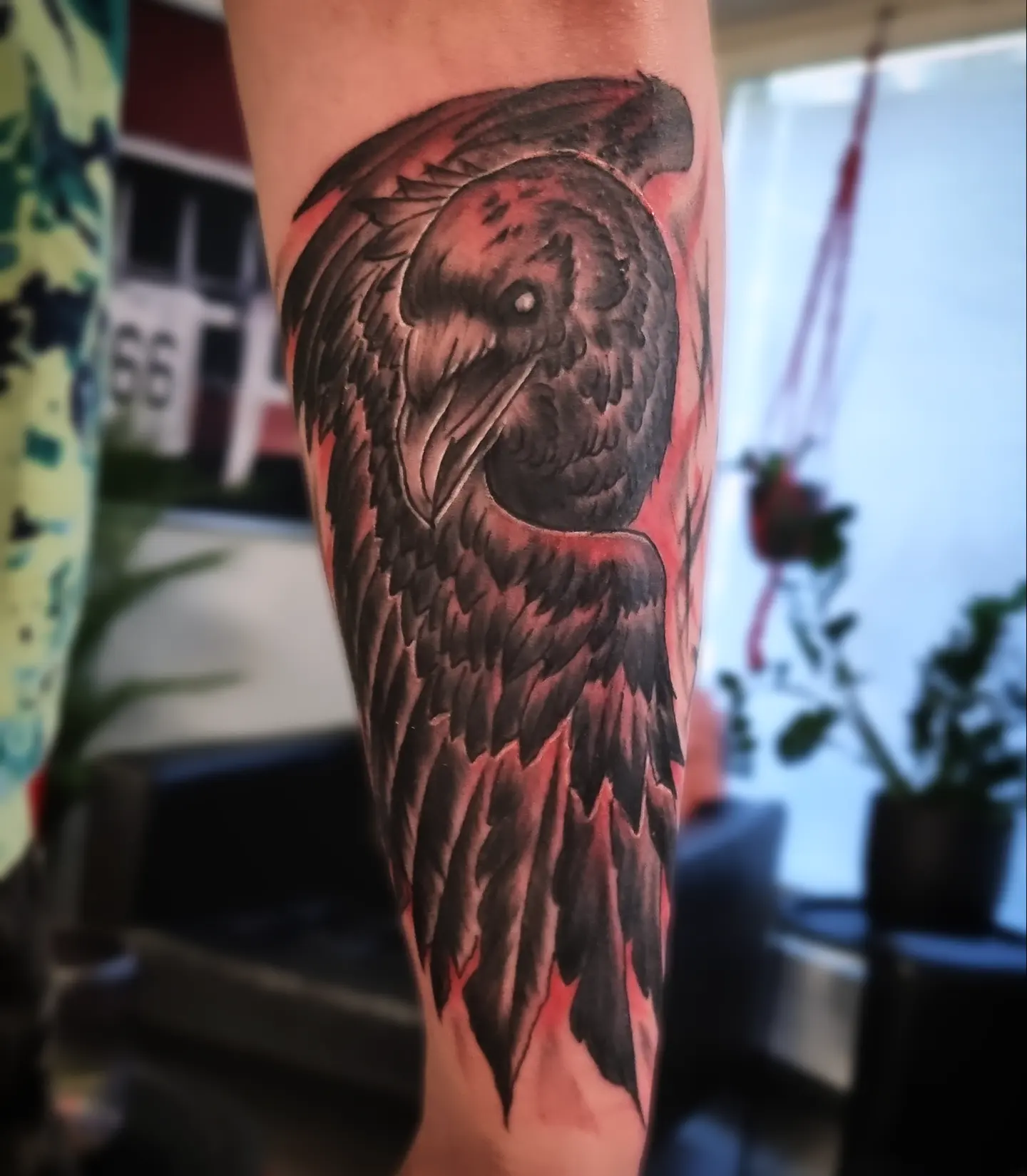Owl black and grey tattoo on the forearm by AntiheroTattoo