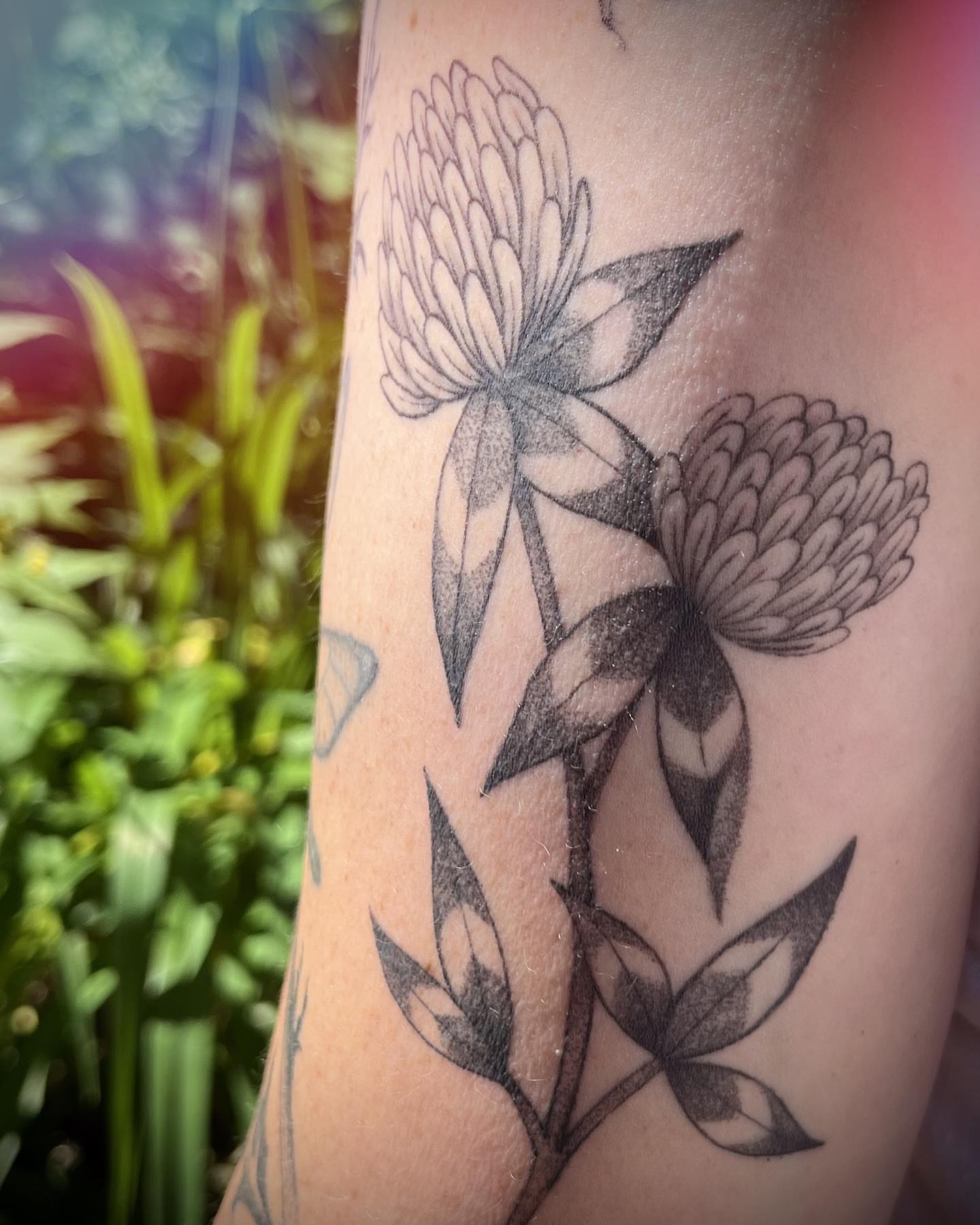 Tattoo by @rosie_coyote — black_and_grey