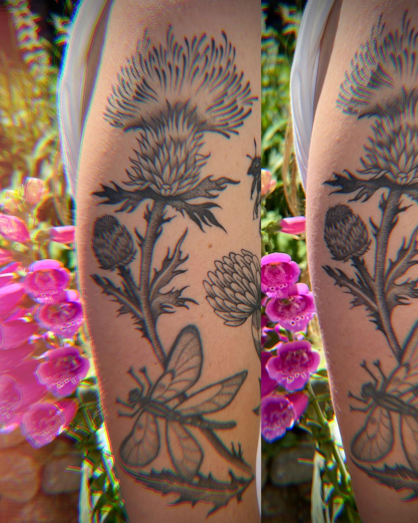 Tattoo by @rosie_coyote — black_and_grey