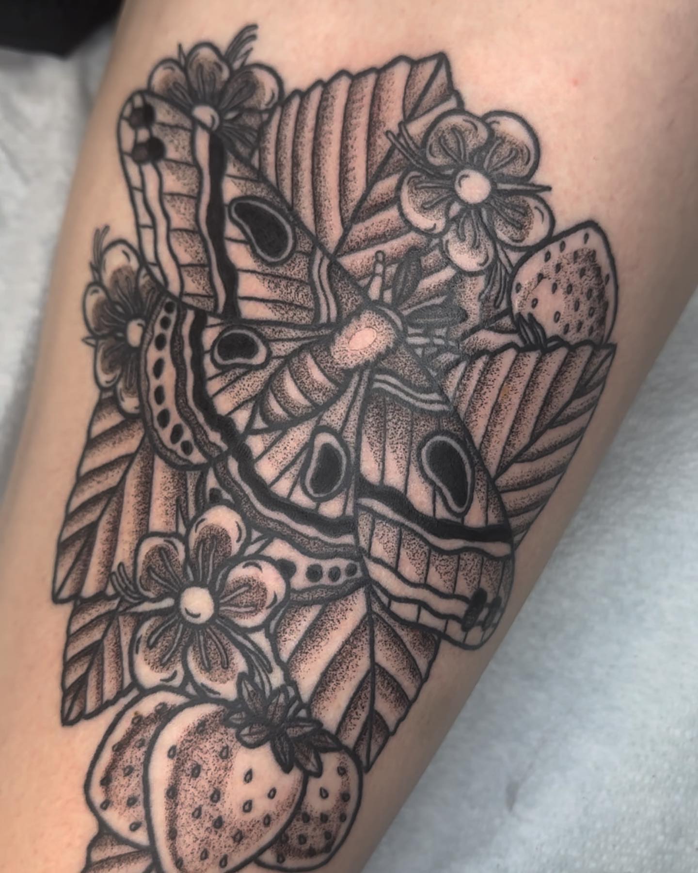 Butterfly and strawberries dotwork tattoo on the forearm by savannah ★ ( previously feralratbabe )