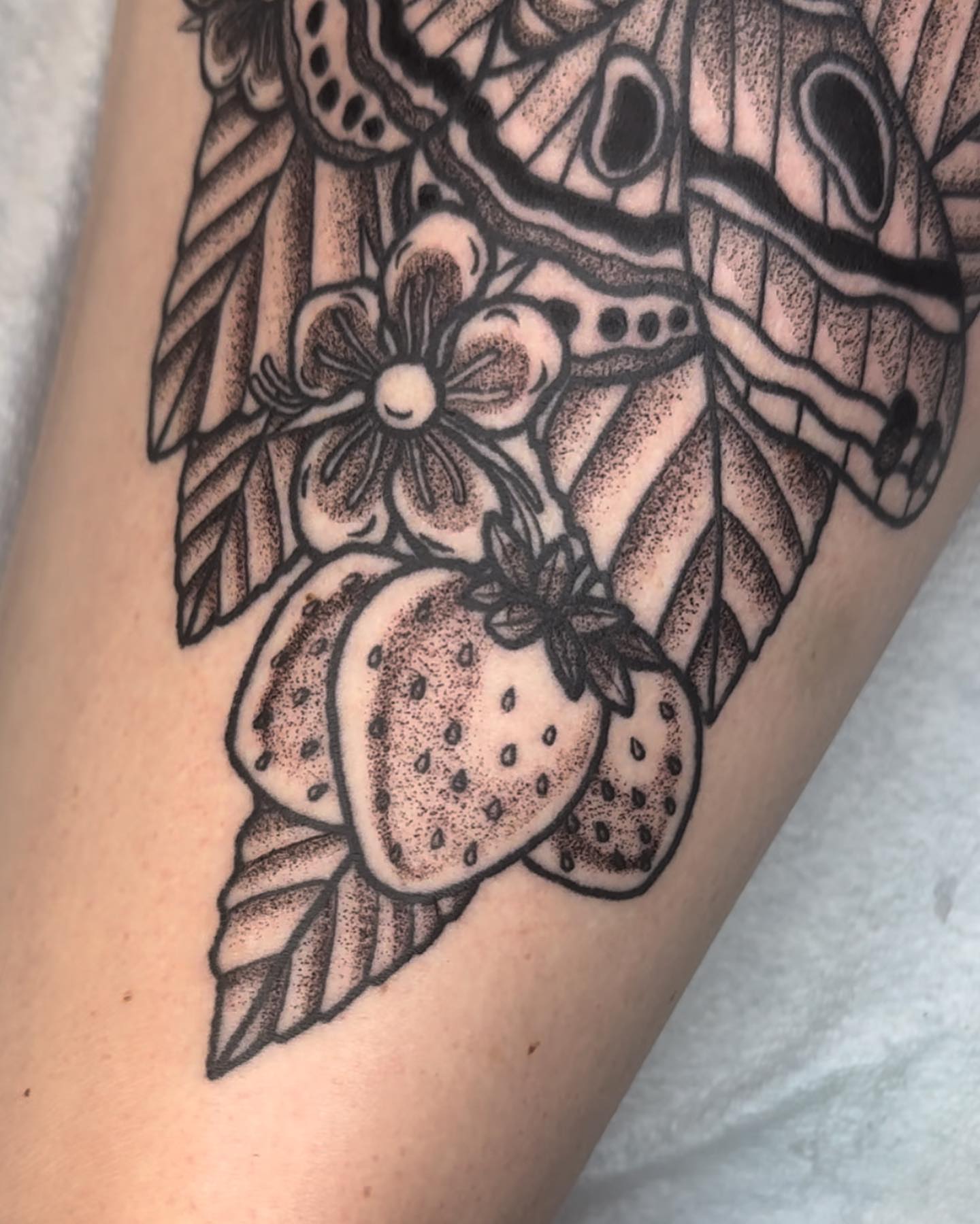 Strawberry and butterfly dotwork tattoo on the forearm by savannah ★ ( previously feralratbabe )