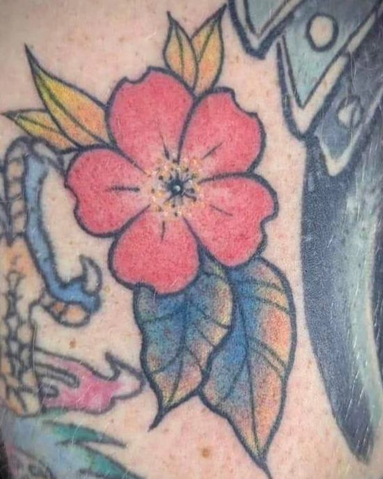 Tattoo by @aleysha.jane.tattoos — american_traditional