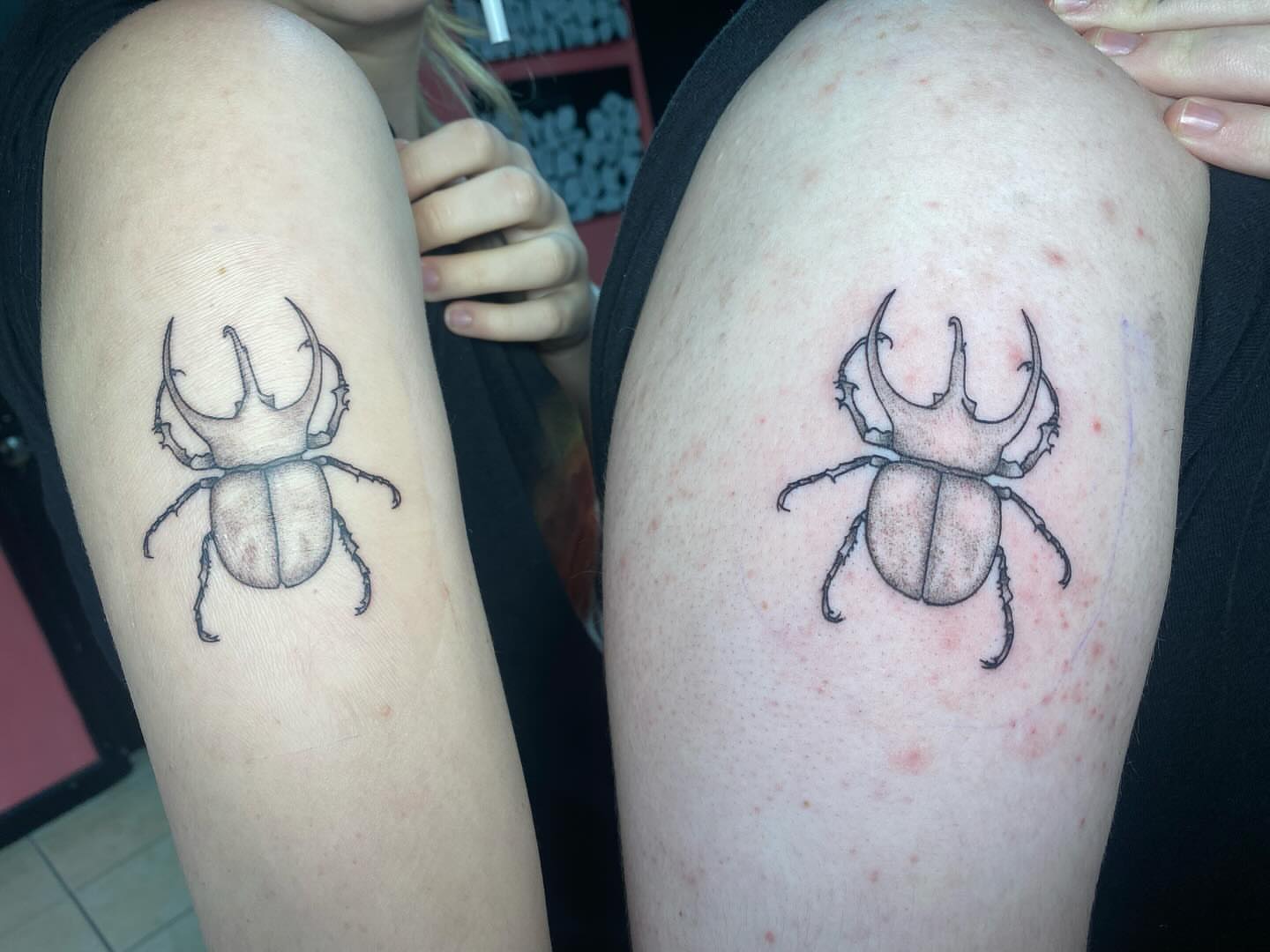 Rhinoceros beetle black and grey tattoo on the thigh by Drew