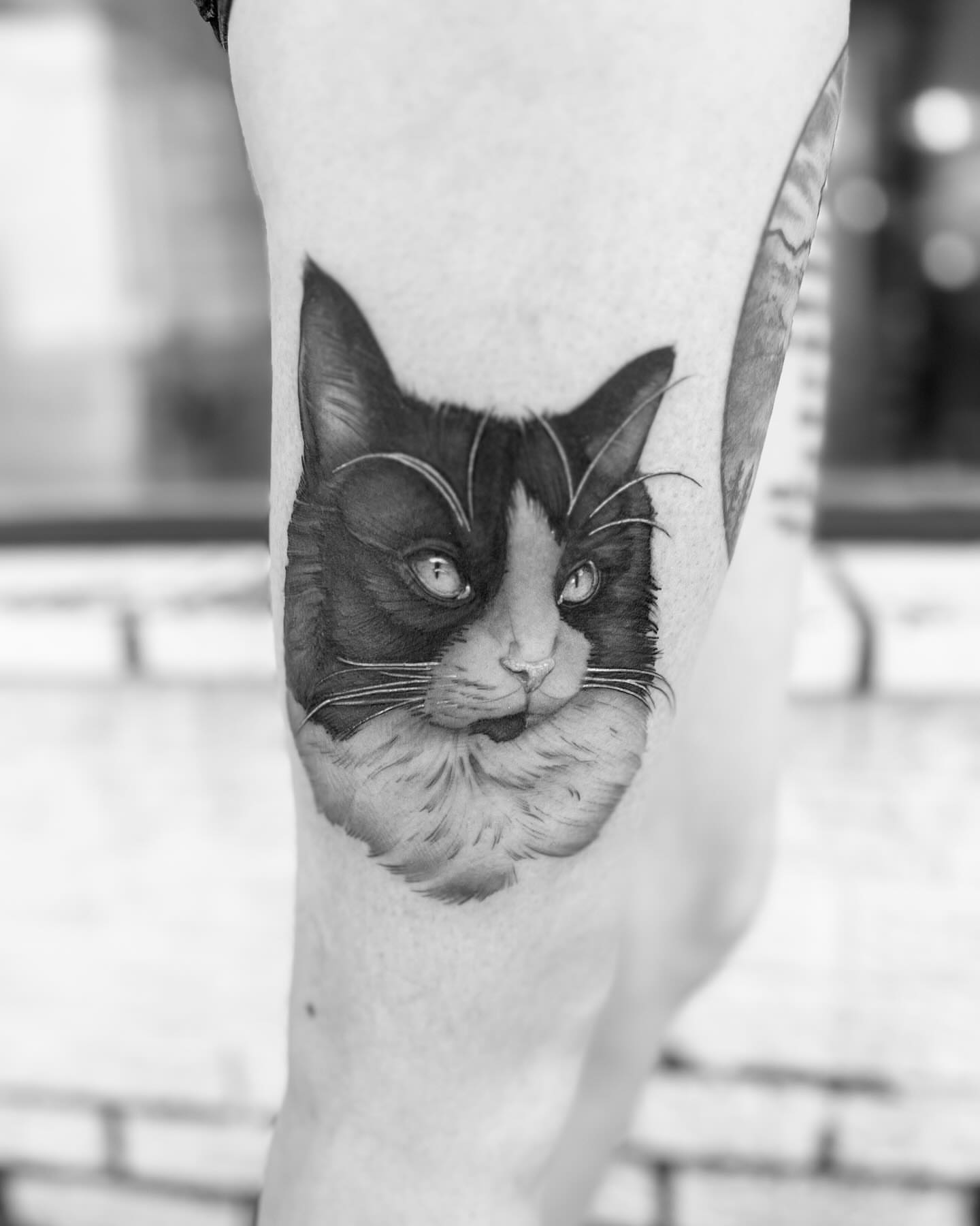 Cat realism tattoo on the forearm by M.zopfi - Tattoo Artist