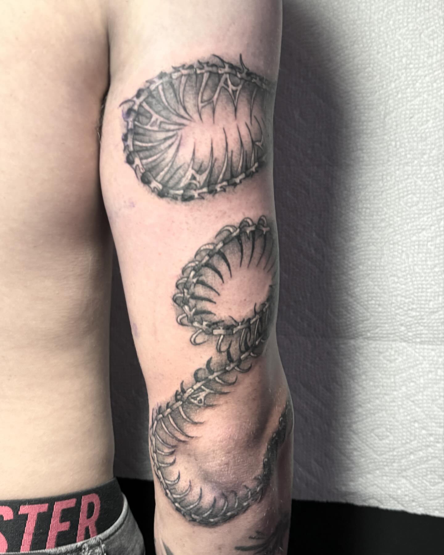 Centipede black and grey tattoo on the forearm by 𝔈𝔯𝔦𝔫 𝔊𝔦𝔩𝔩𝔦𝔩𝔞𝔫𝔡, Springfield, Ohio