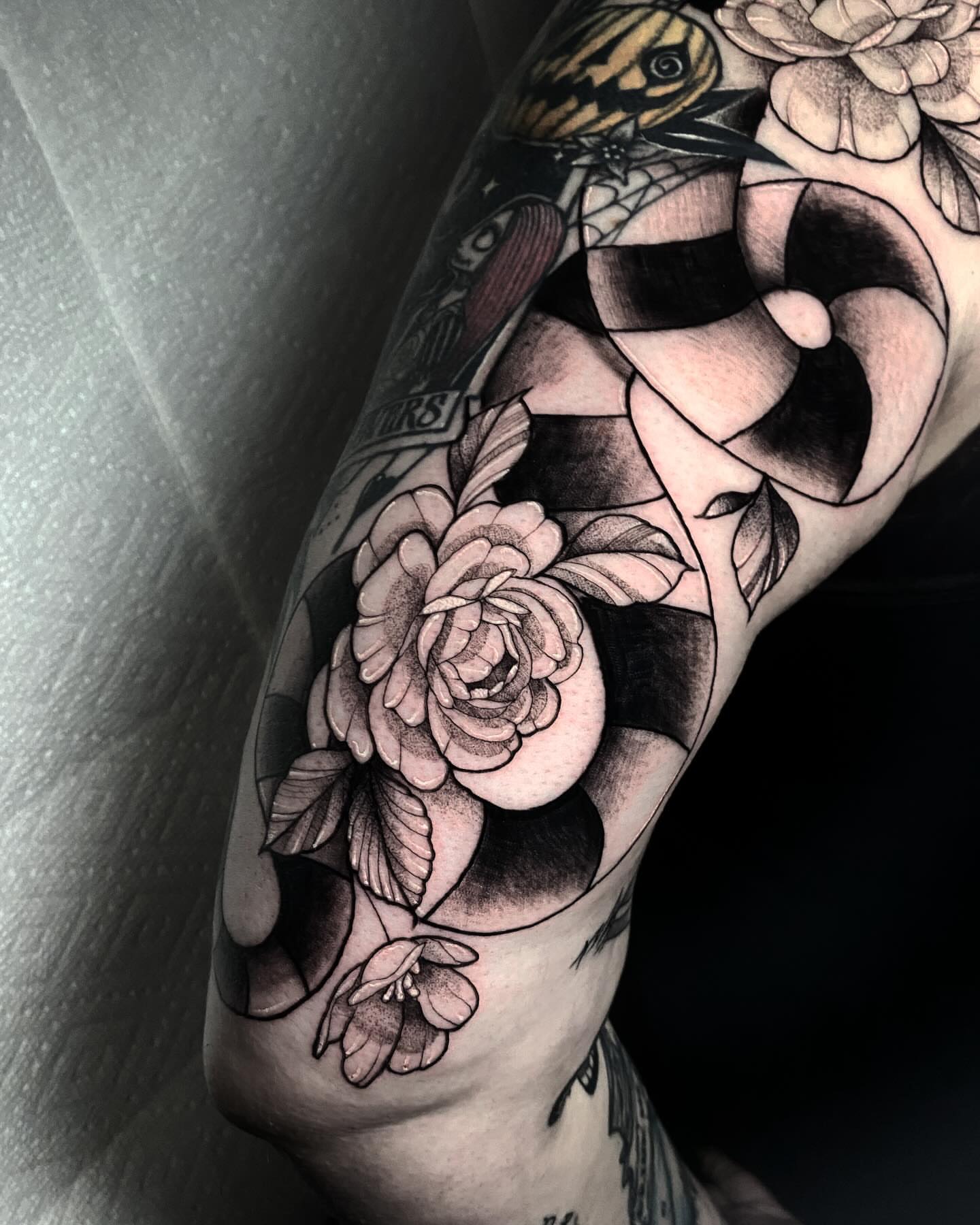 Rose and snake realism tattoo on the forearm by 𝔈𝔯𝔦𝔫 𝔊𝔦𝔩𝔩𝔦𝔩𝔞𝔫𝔡, Springfield, Ohio