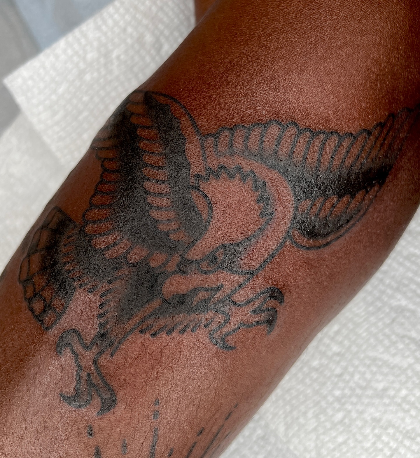 Phoenix black and grey tattoo on the forearm by Ian Jett