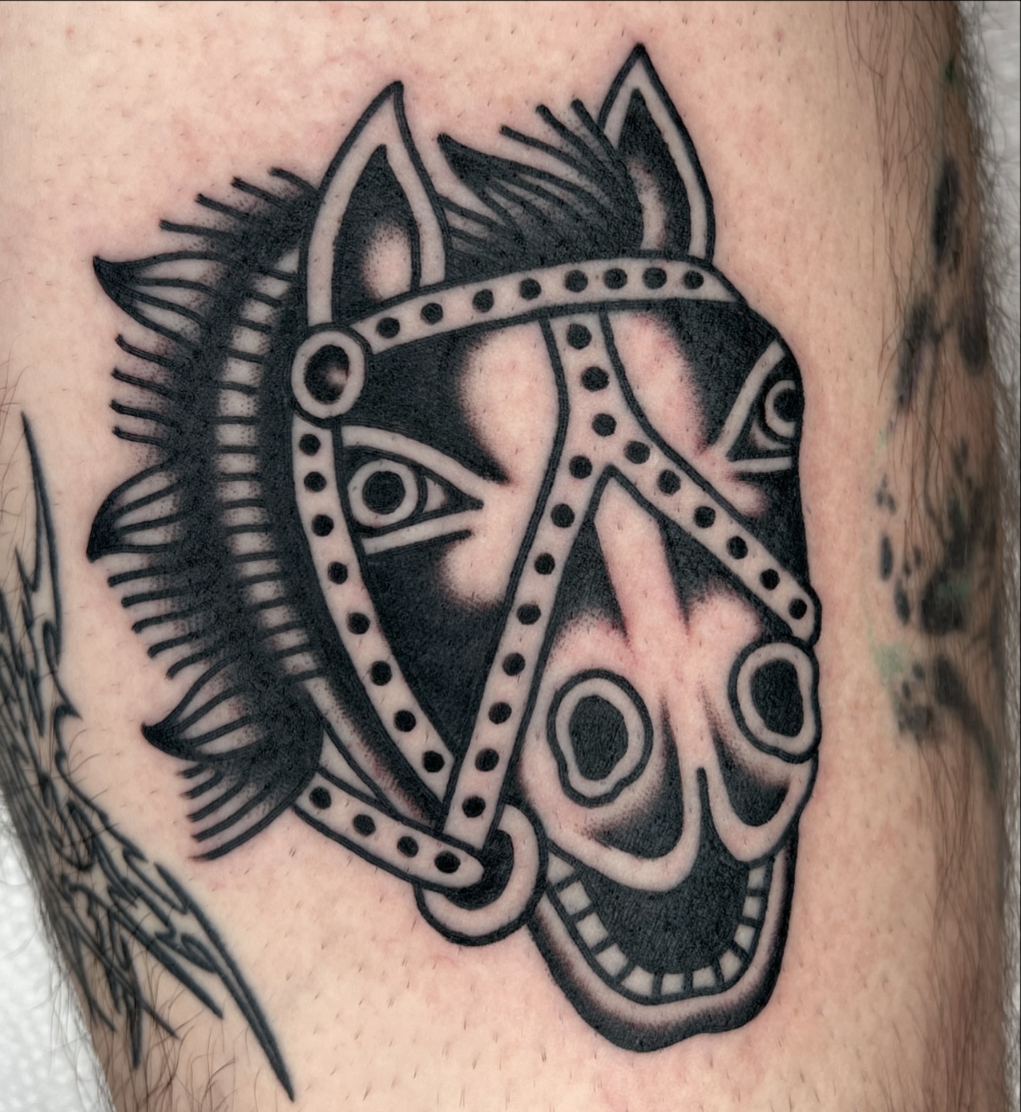 Horse mask black and grey tattoo on the forearm by Ian Jett