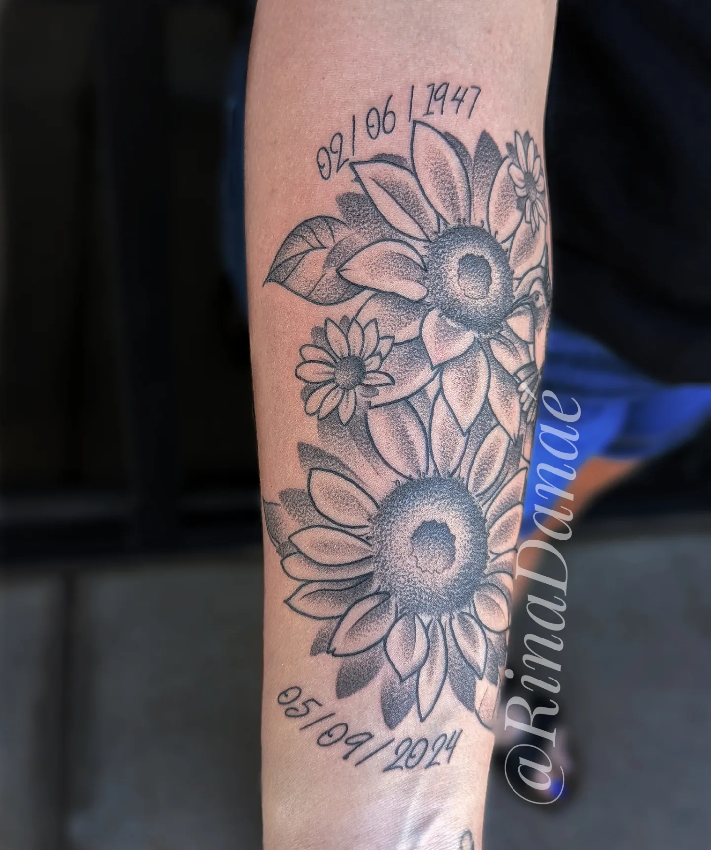 Sunflowers dotwork tattoo on the forearm by Rina Danaé Tattoo🌿