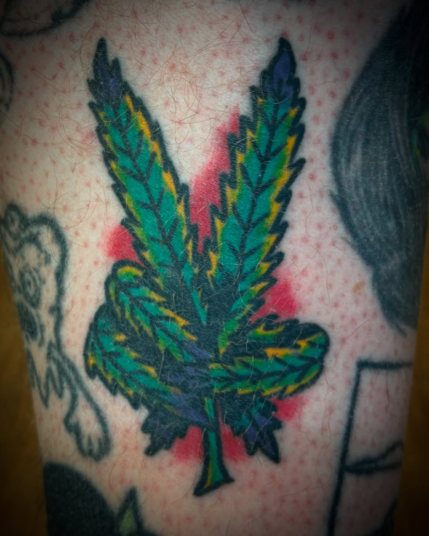 Marijuana leaf American traditional tattoo on the forearm by Tattoos Las Vegas,NV
