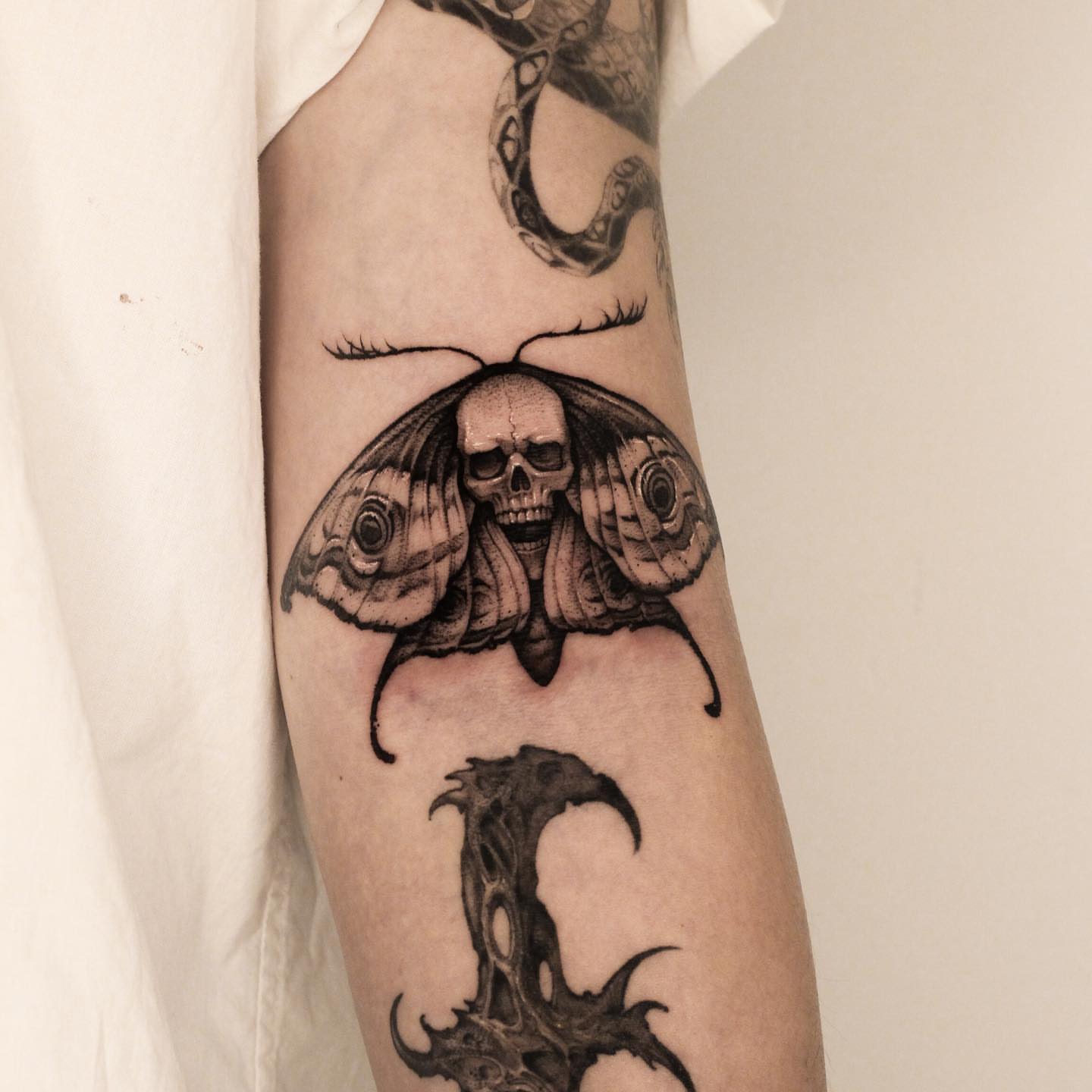 Moth with skull realism tattoo on the forearm by 우레