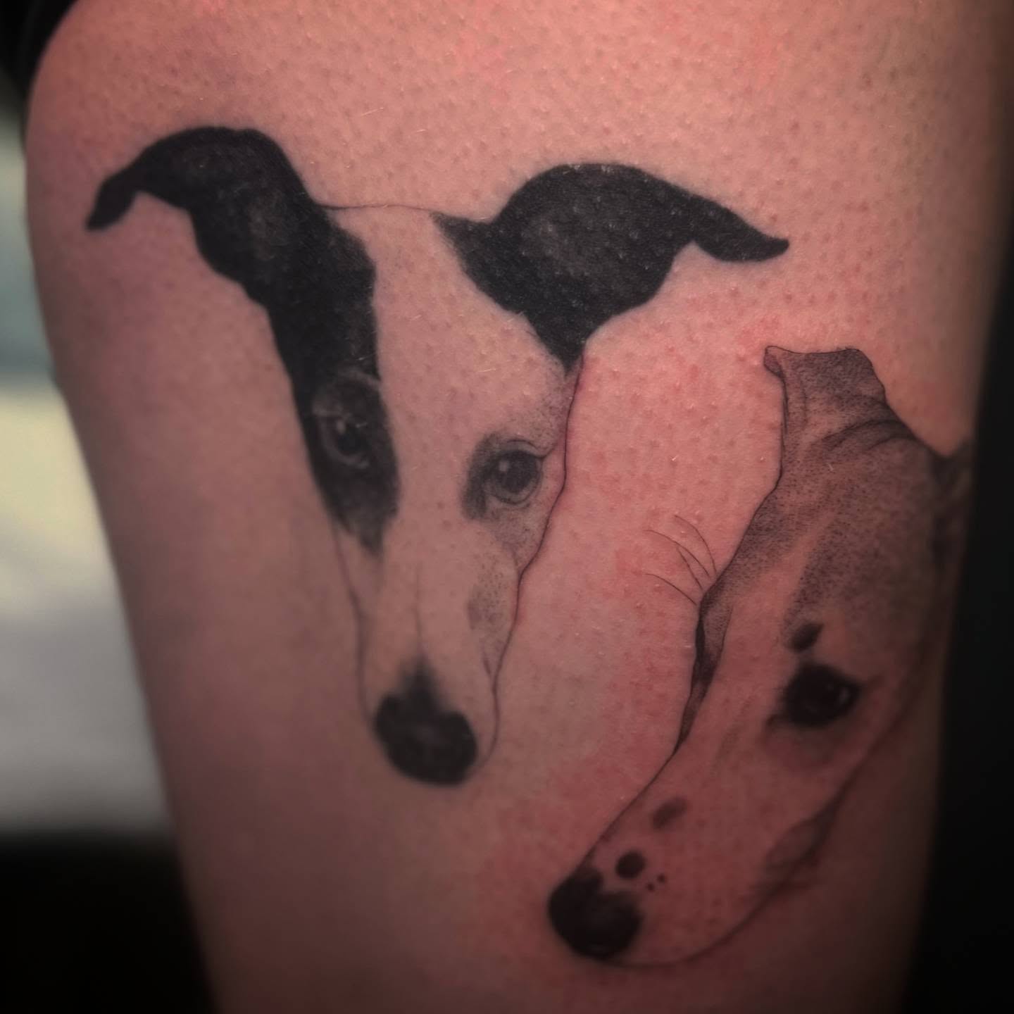 Tattoo by @cupidnegra — realism, dotwork