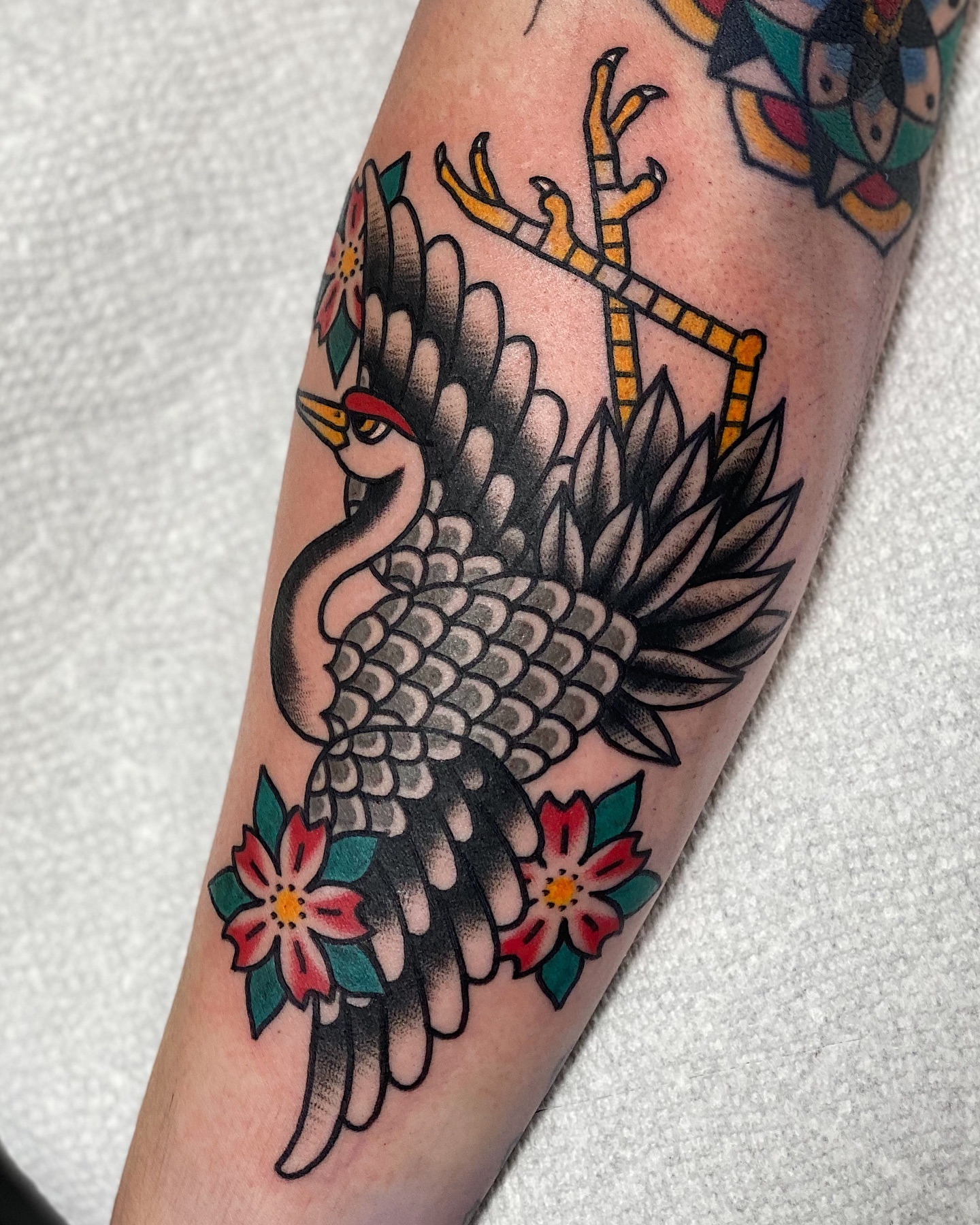 Peacock American traditional tattoo on the forearm by Dakota Amato