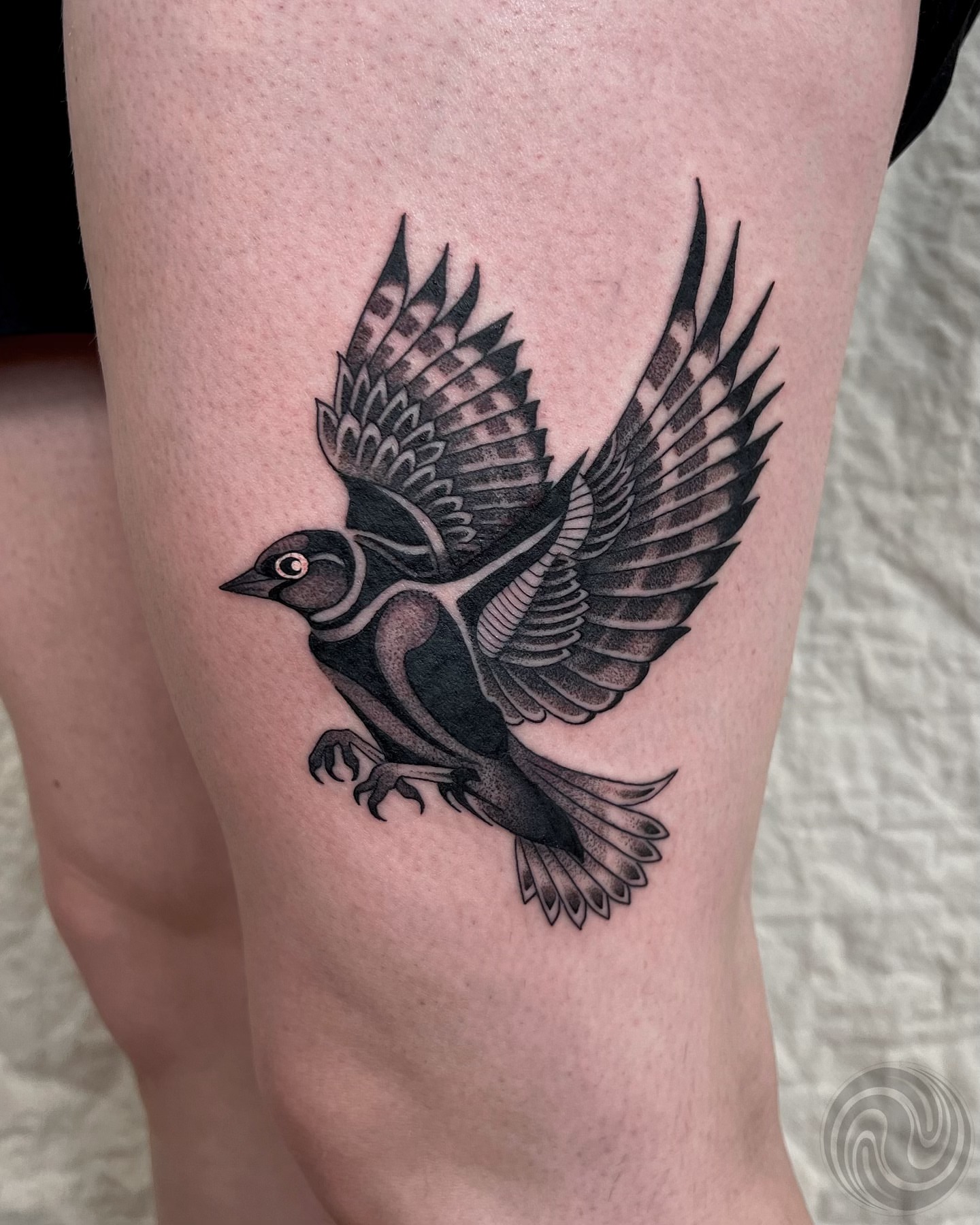 Bird black and grey tattoo on the thigh by 👽 Kat 👽, San Francisco, California