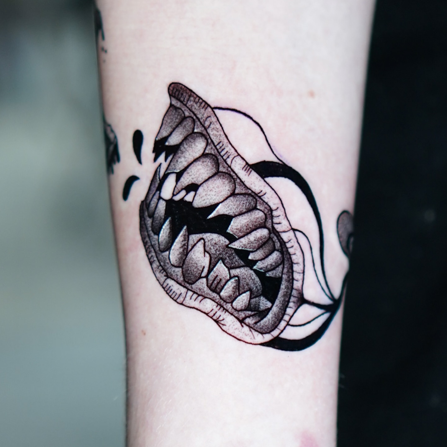 Jaws black and grey tattoo on the forearm by Jorden Ruppe