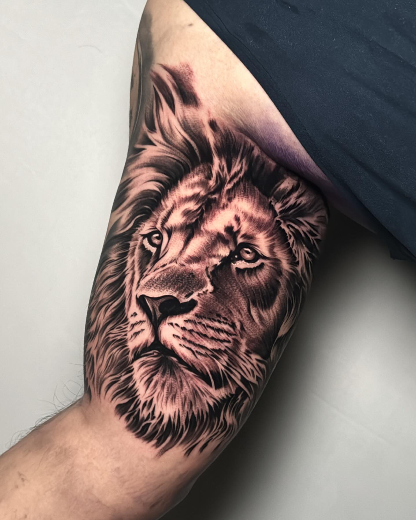 Lion realism tattoo on the forearm by eksoe_