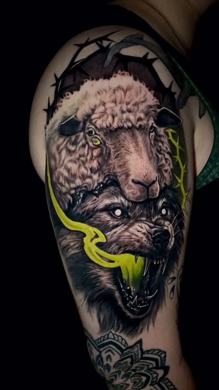 Wolf and sheep realism tattoo by Caitlyn Campbell