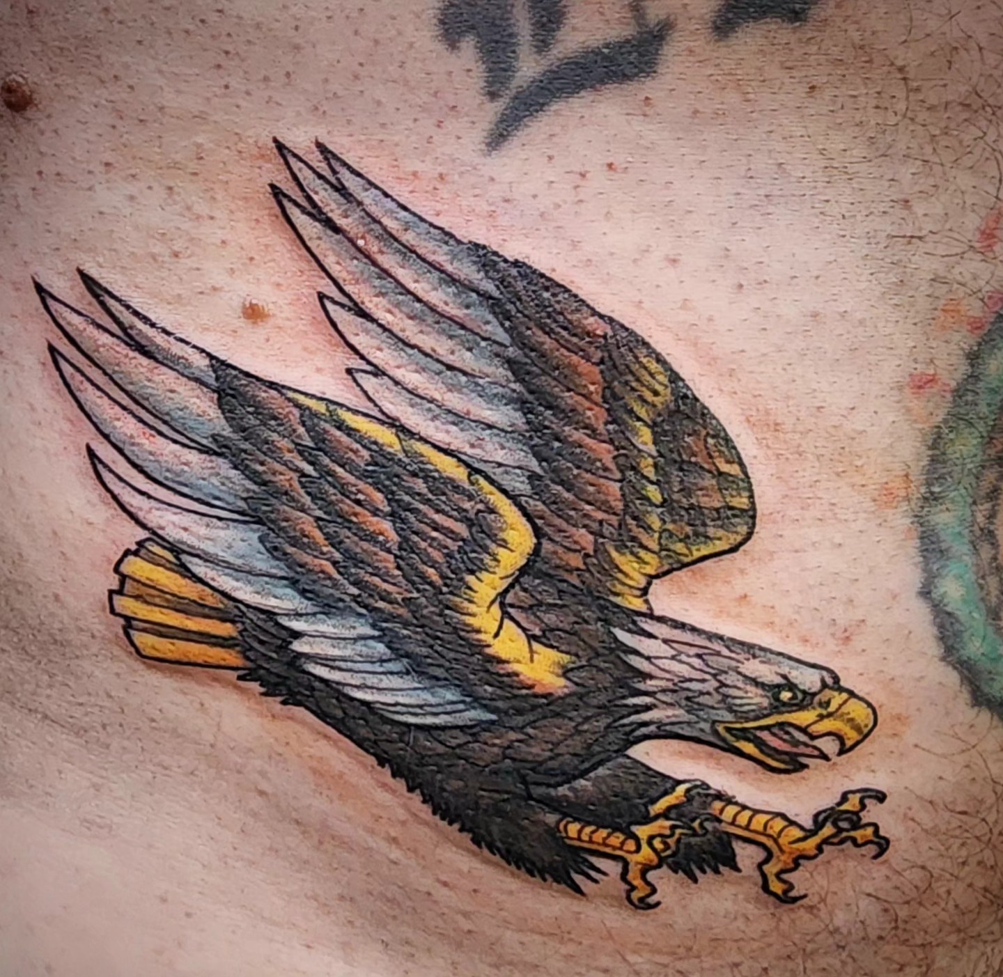 Eagle American traditional tattoo on the chest by Scott Fricke