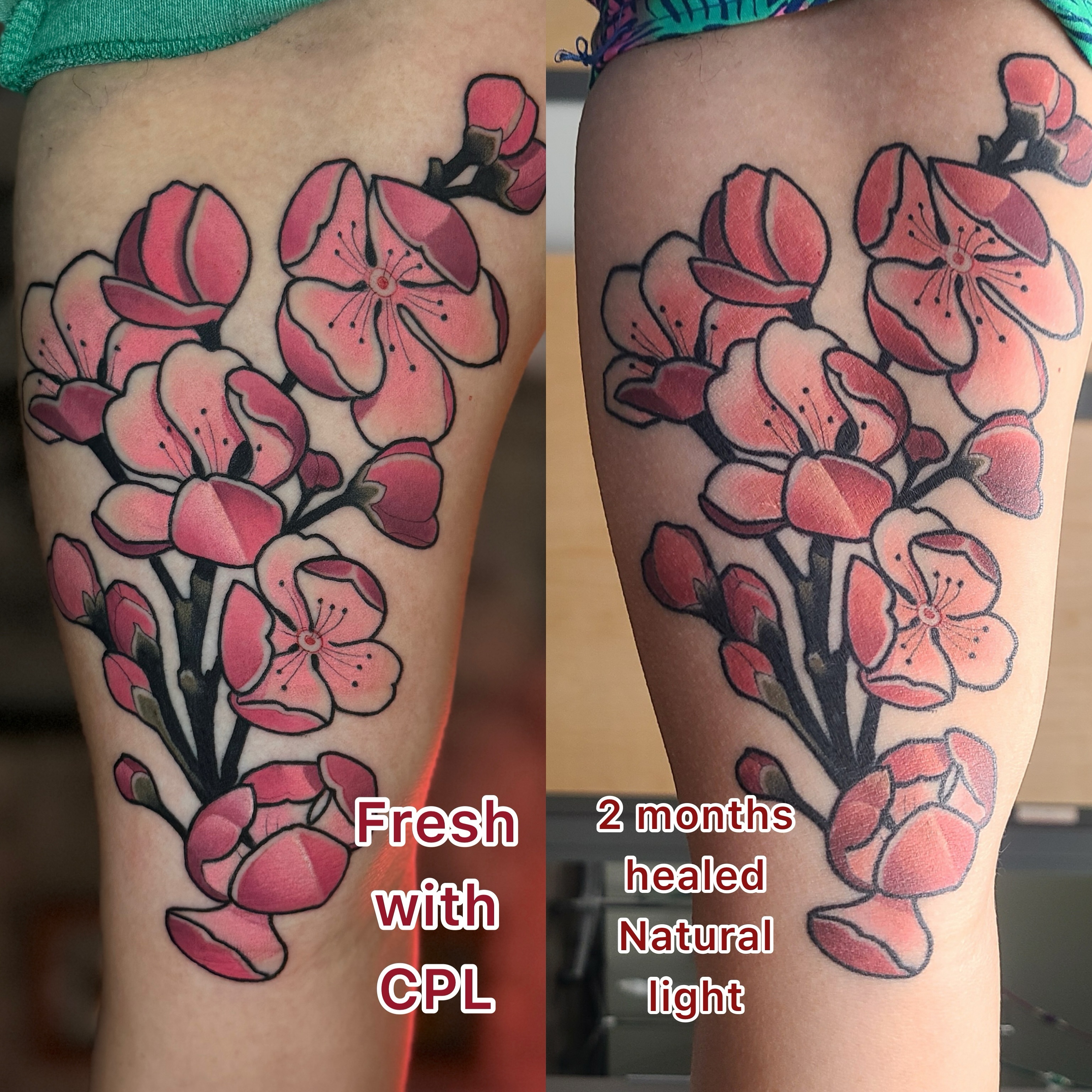 Cherry blossoms new school tattoo on the thigh by Matt - Neotrad Tattoos, New York, New York