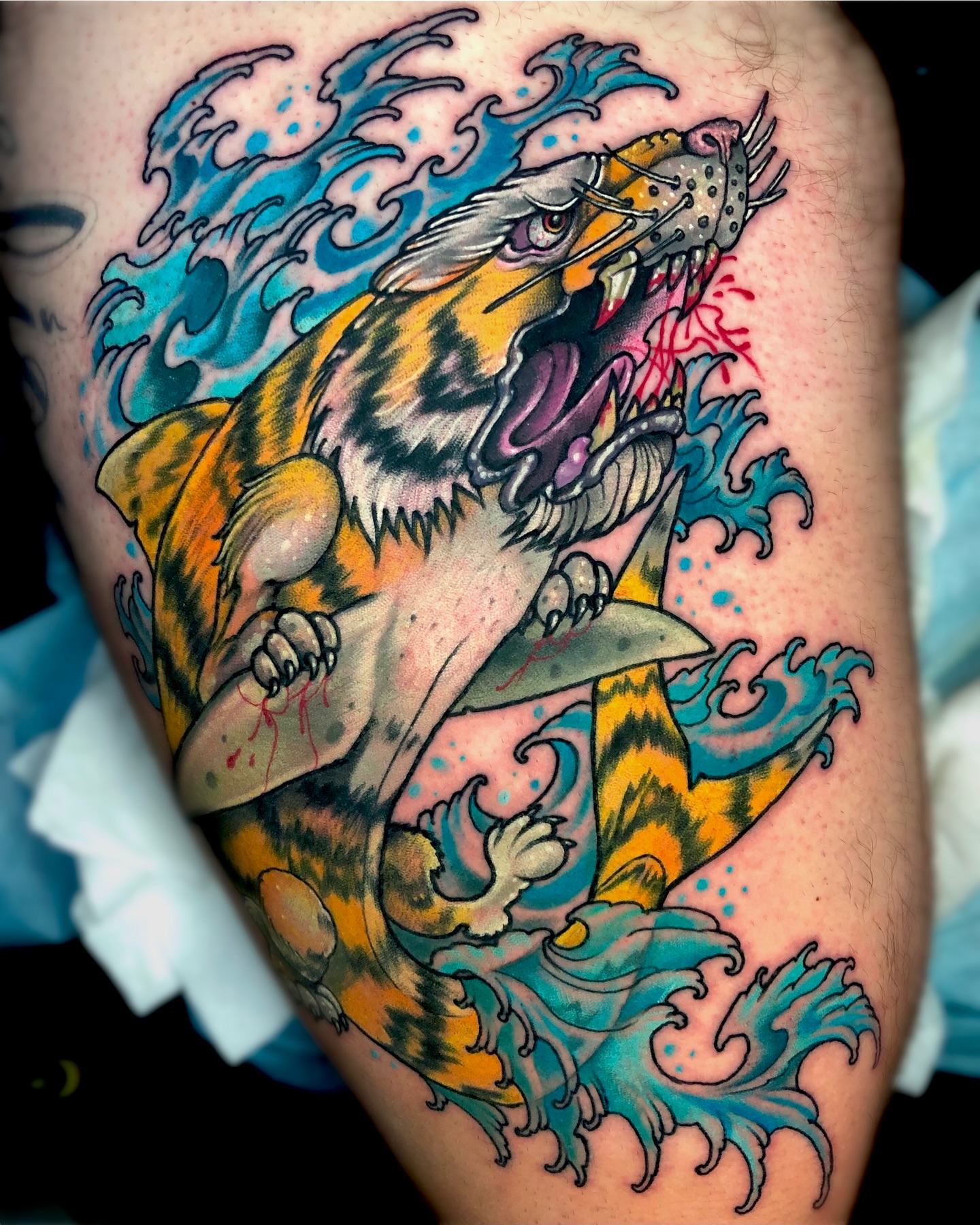 Tiger shark American traditional tattoo on the thigh by Ty Pallotta, Austin, Texas