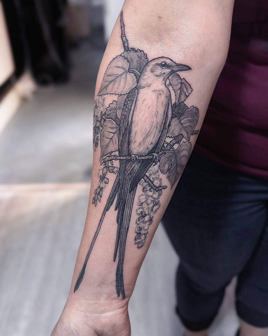 Bird realism tattoo on the forearm by 𝗝𝗲𝘀𝘀𝗶𝗲 𝗩𝗶𝗼𝗹𝗲𝘁
