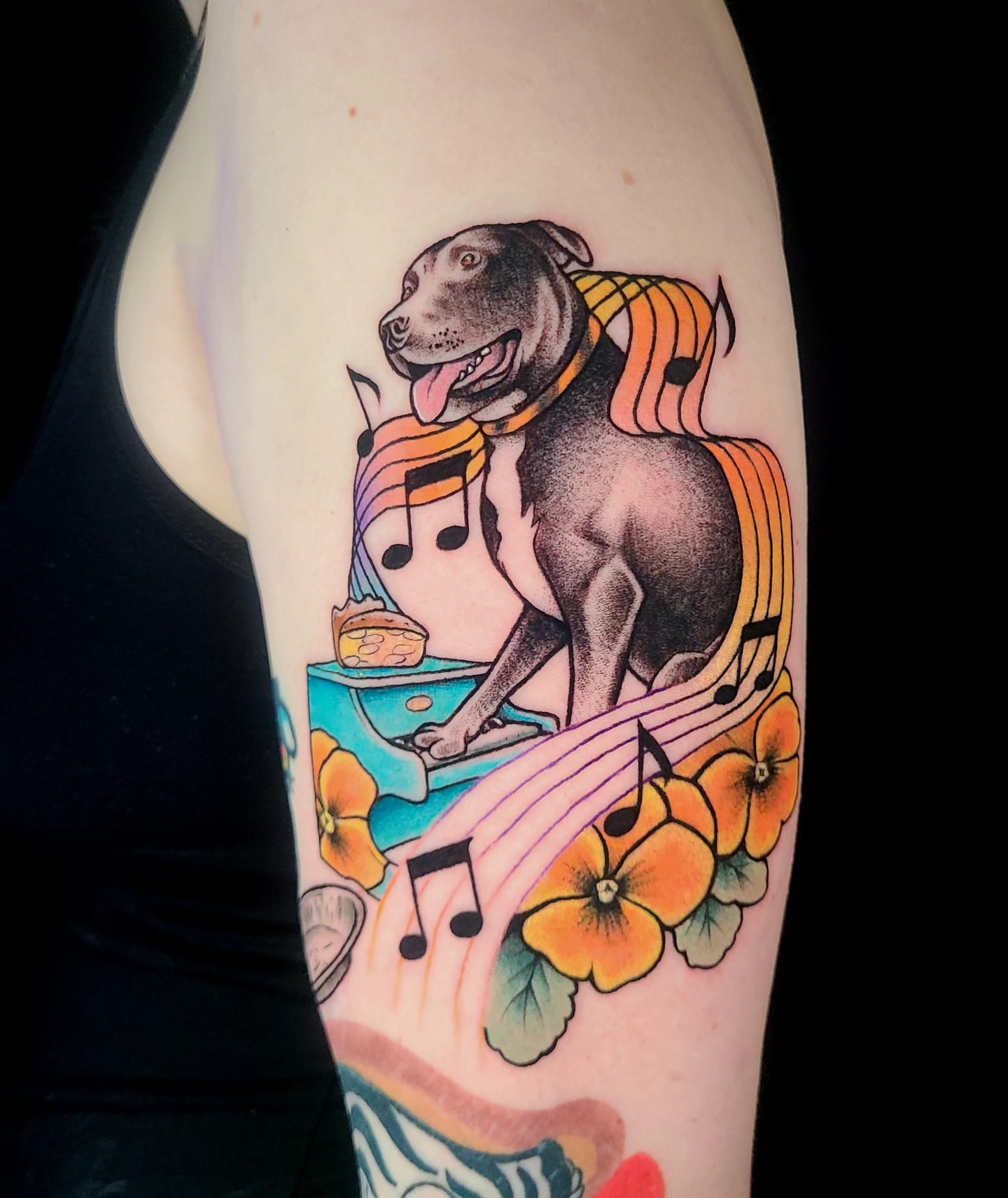 Pitbull playing piano American traditional tattoo on the forearm by Chloe🌿Tattoos