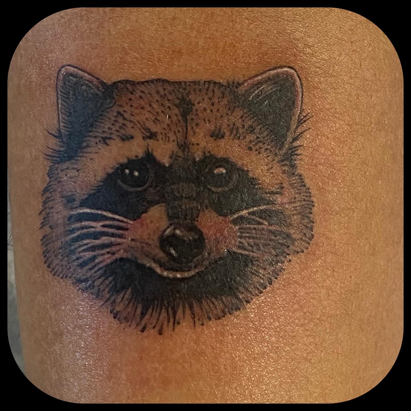 Raccoon realism tattoo on the forearm by ๐ญ๐๐ ๐ฎ๐๐๐๐๐, Berkeley, California