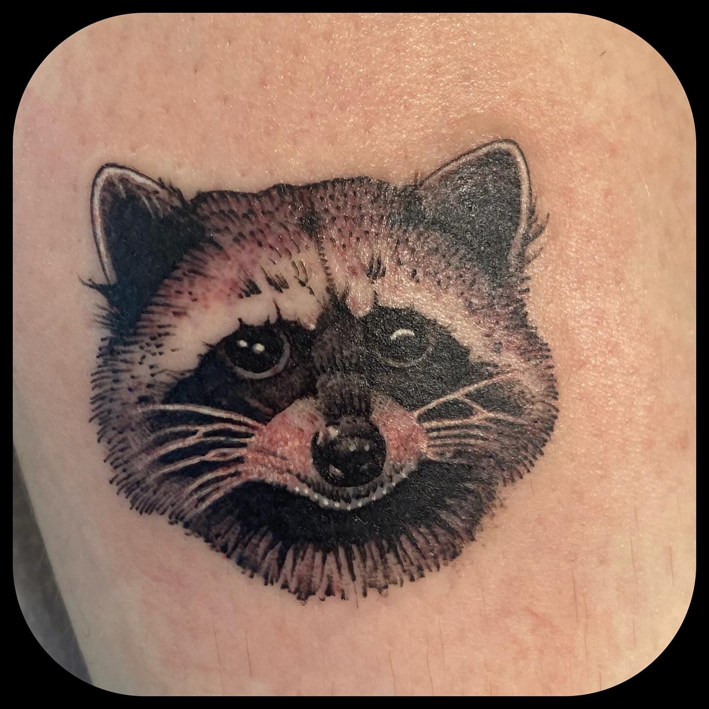 Raccoon realism tattoo on the forearm by ๐ญ๐๐ ๐ฎ๐๐๐๐๐, Berkeley, California