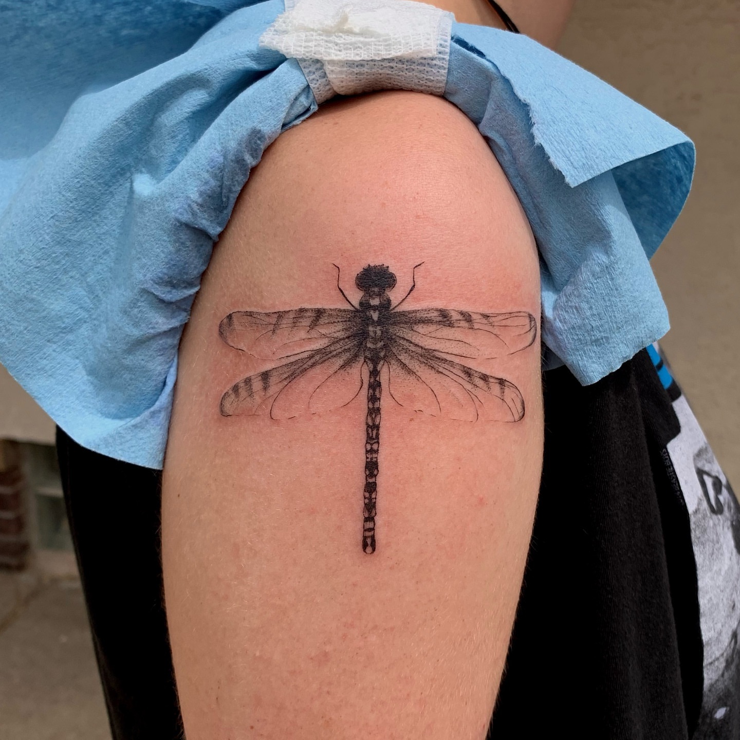 Dragonfly realism tattoo on the shoulder by Maddy Paige
