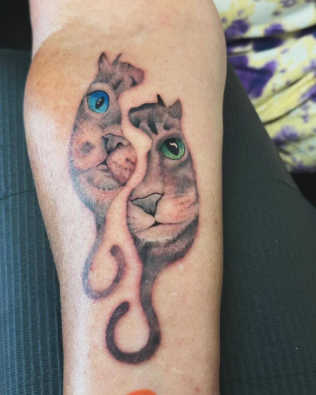 Cat faces realism tattoo on the forearm by Eldaddy
