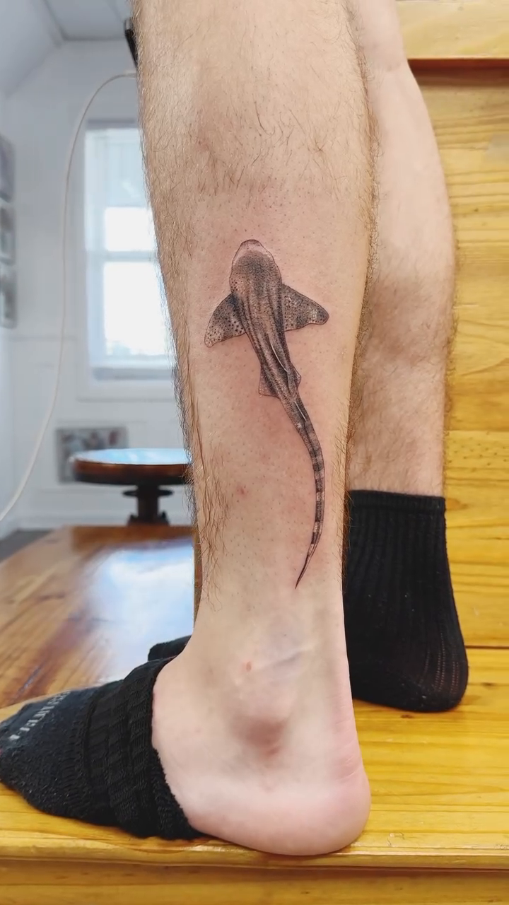 Shark fine line tattoo on the leg by Abel