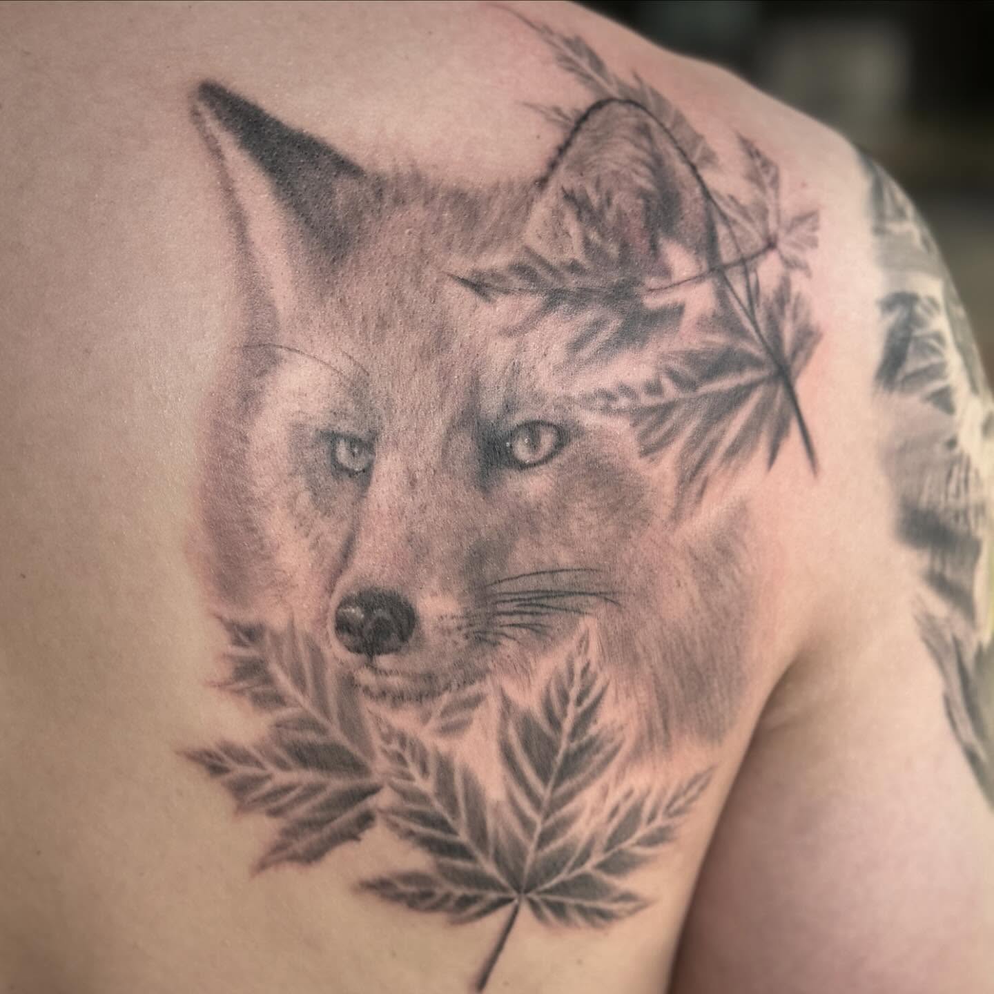 Fox realism tattoo on the shoulder by Kyle J. Bishop