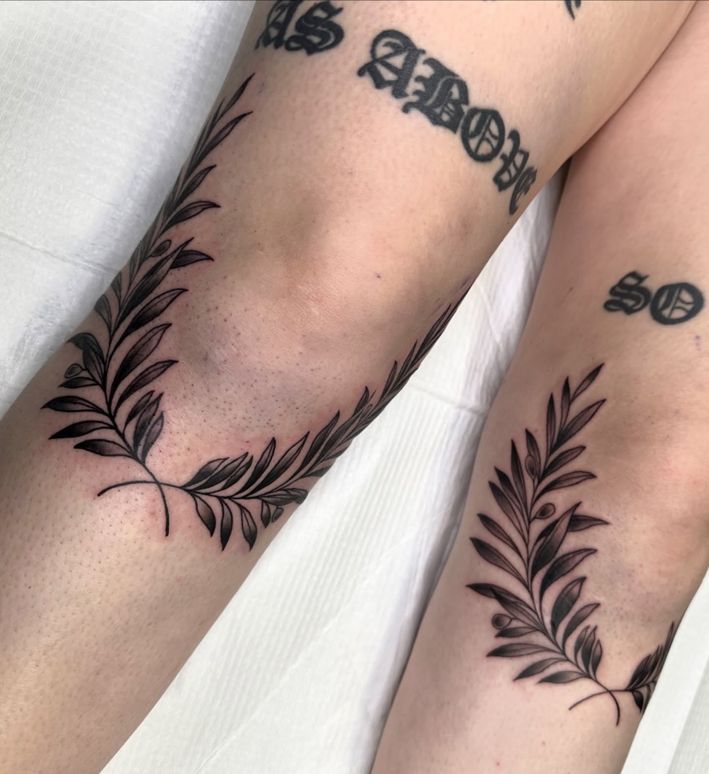 Leafy branch black and grey tattoo on the forearm by ᴇʟɪᴢᴀ ɢᴏɴᴢᴀʟᴇᴢ