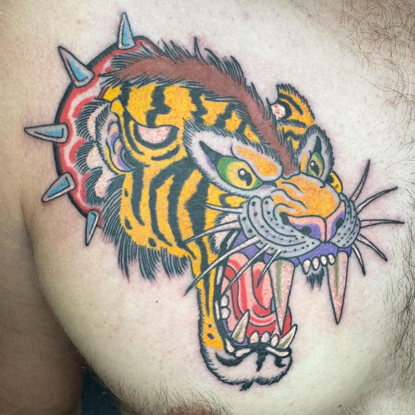 Tiger American traditional tattoo on the chest by Timothy Wood