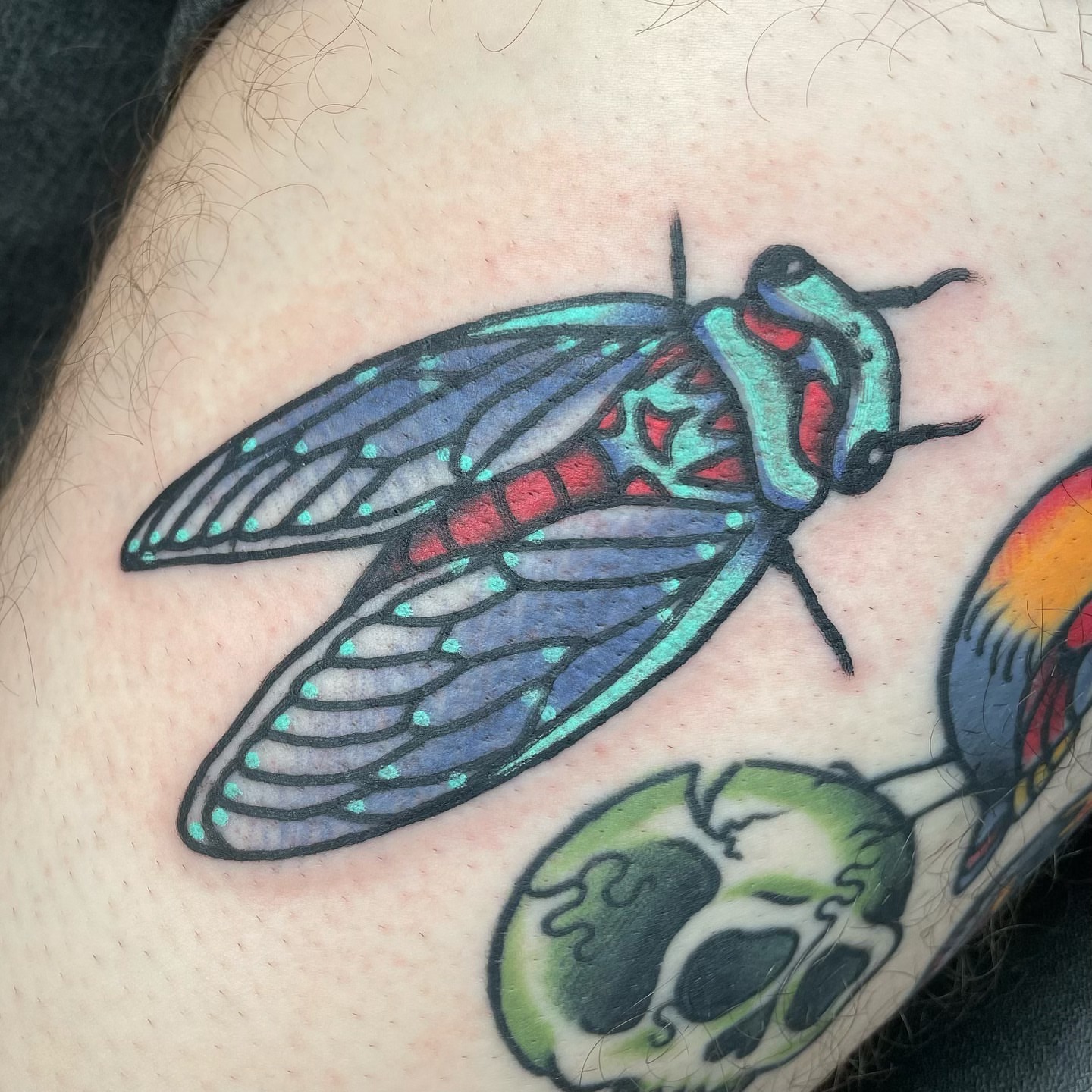 Cicada American traditional tattoo on the thigh by β¦ πΉπππ π°ππ π·ππππππππ β¦, Nashville, Tennessee