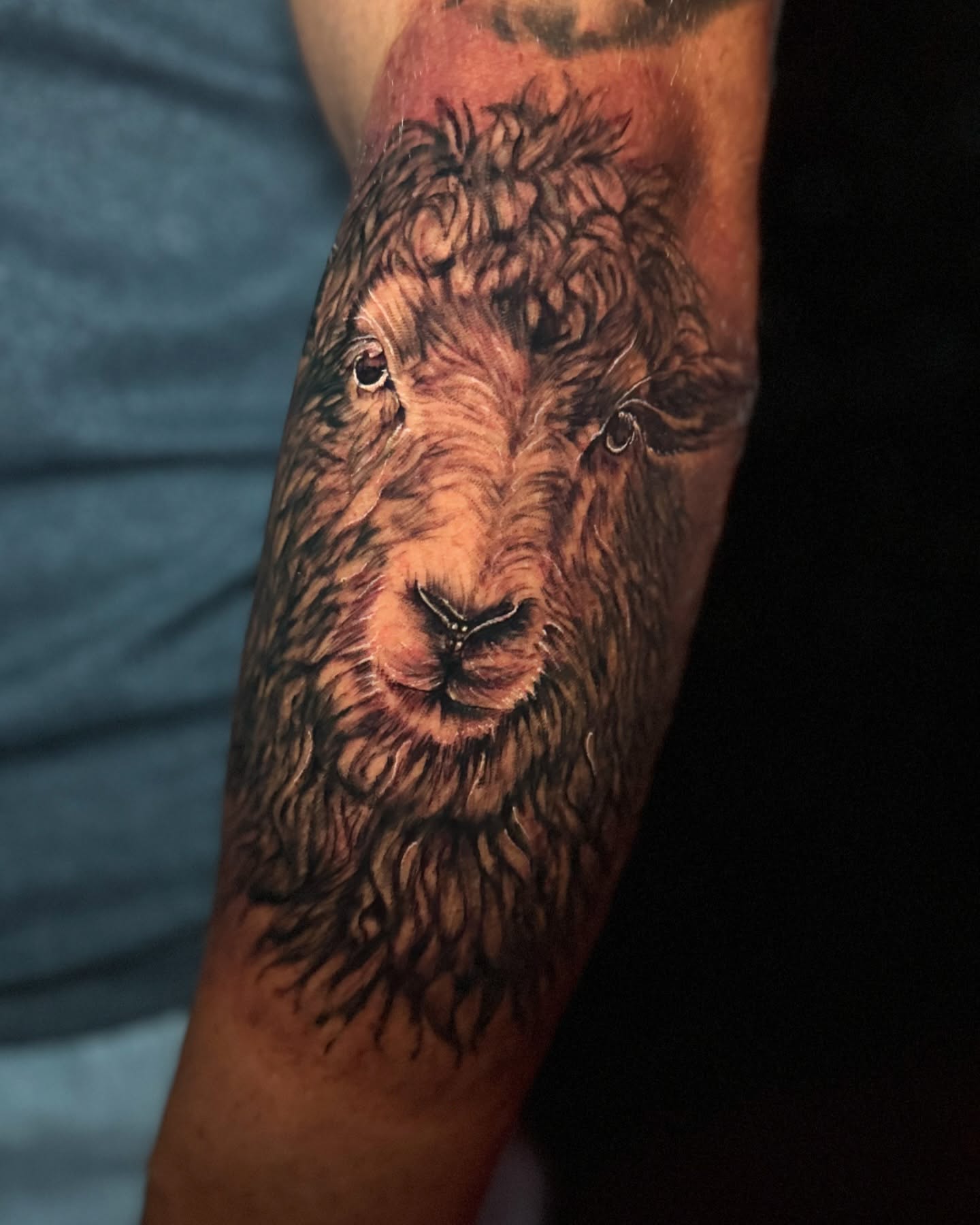 Lion realism tattoo on the forearm by Tattoo Artist