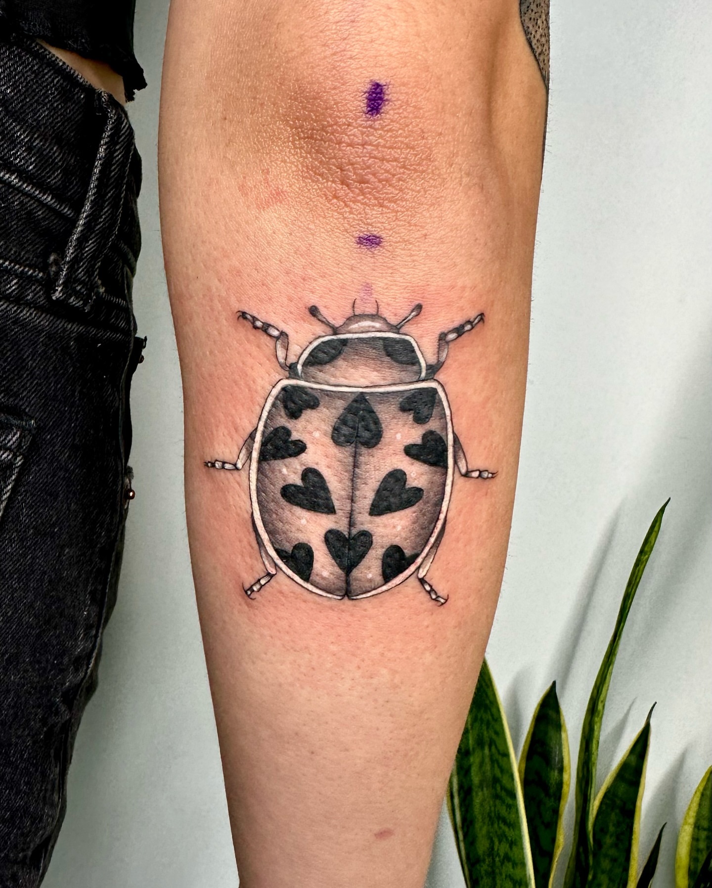 Ladybug realism tattoo on the forearm by ✮ Monarch Tattoos ✮