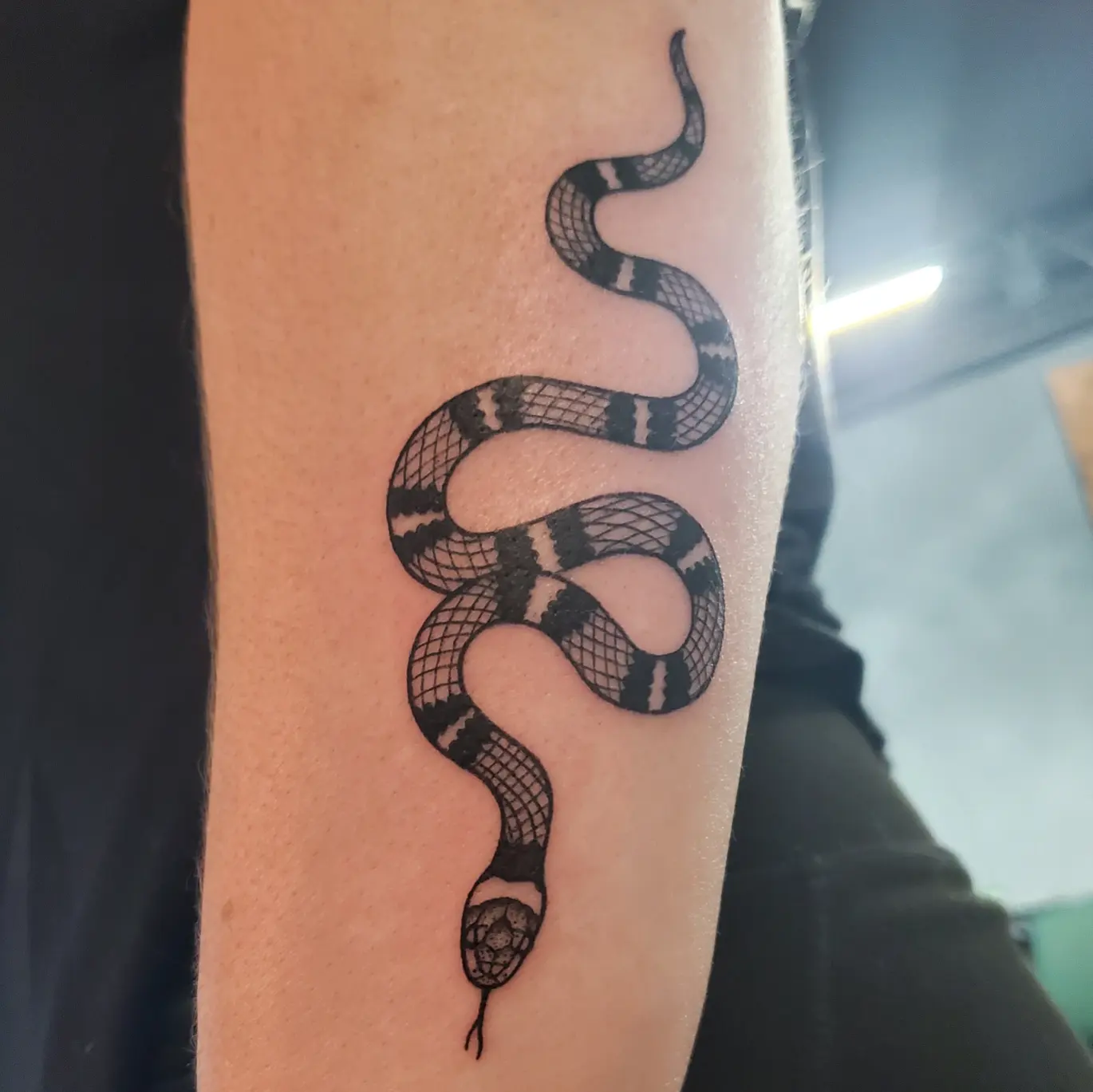 Snake black and grey tattoo on the forearm by Shailey Pasquale